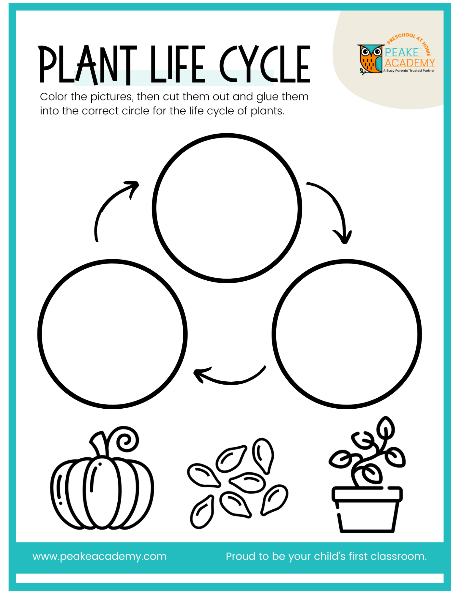Seed Germination For Kids Worksheet