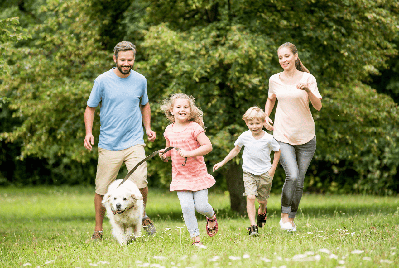 Taming the Chaos: Setting Up Successful Routines for 2024