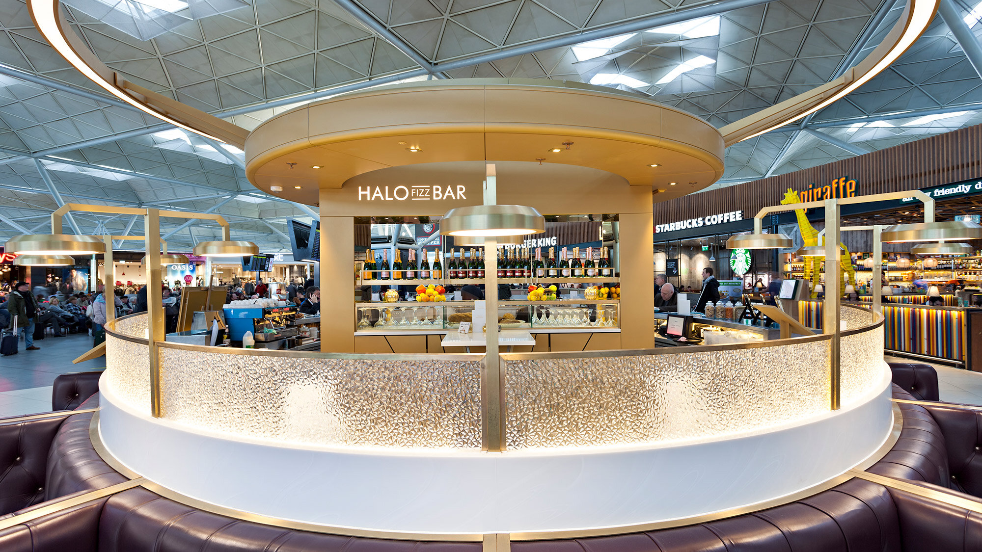 Grapes_Halo_02a.jpg