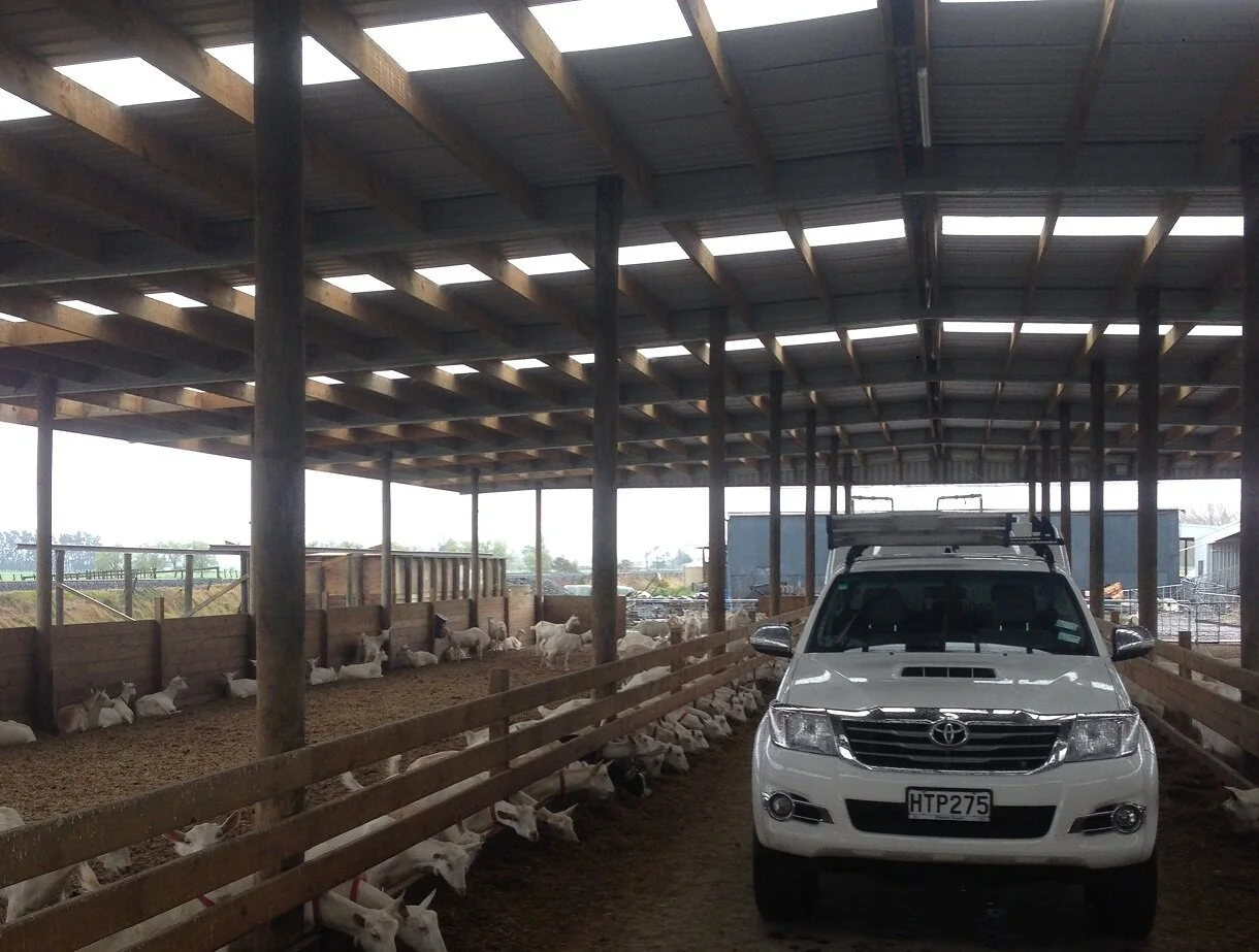 IMG_1644 cropped smaller.jpg