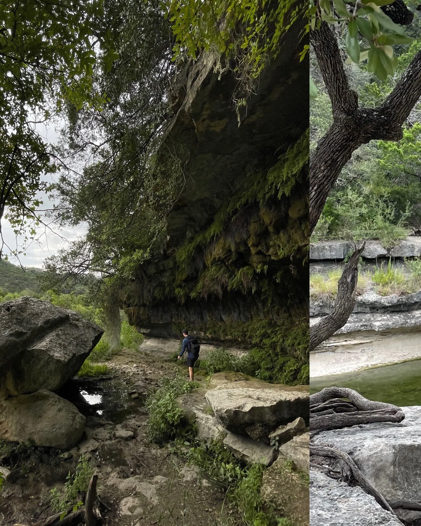 COMMUNITY HIKE: 
Sunday OCT 5th 9am 

📍Bull Creek District Park 
All are welcome, RSVP in bio

The Cactus Club is back!