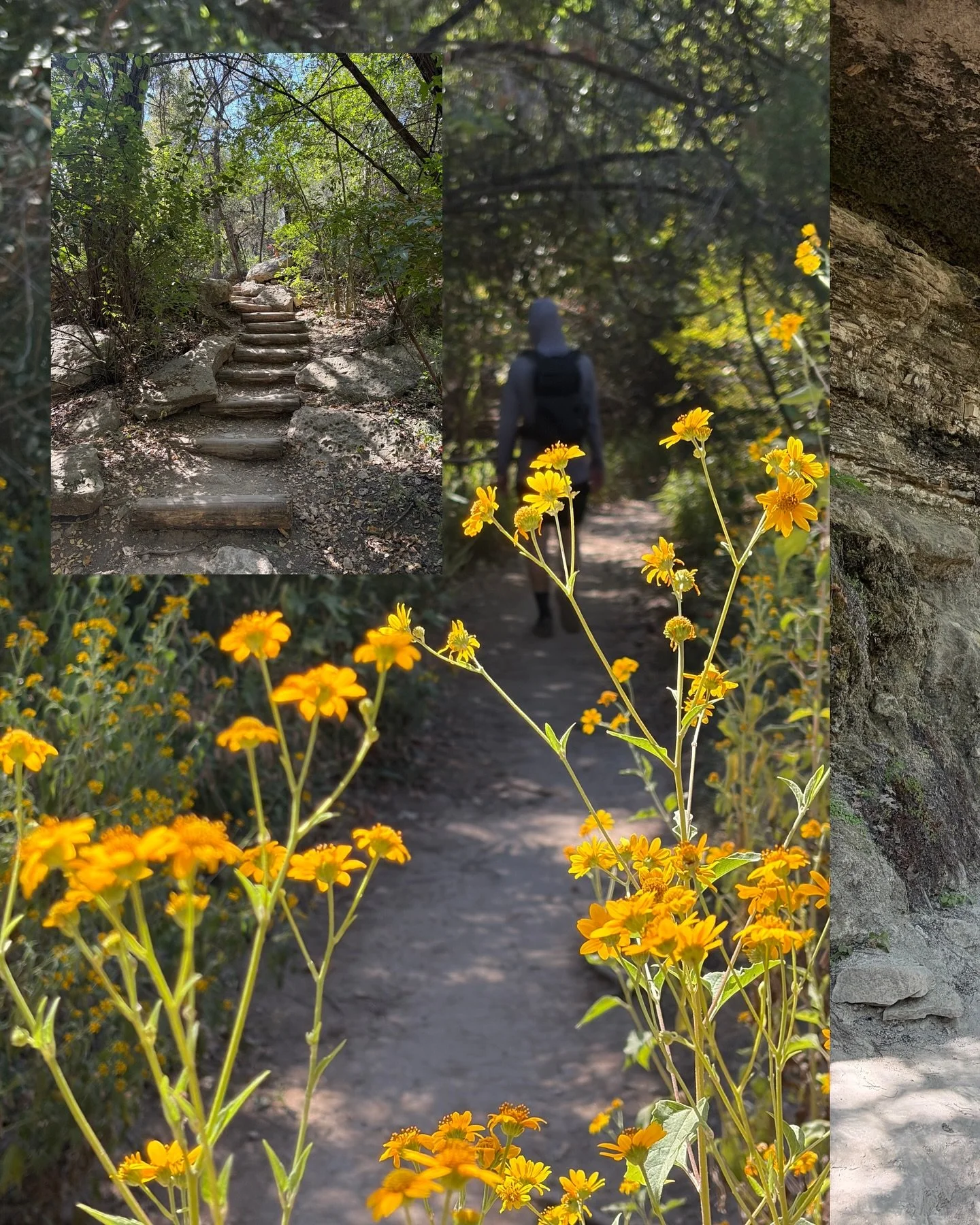 COMMUNITY HIKE: 
This Sunday, OCT 25th 9am

📍River Place Nature Trail 
2-3 miles / moderate
RSVP in bio

Post hike cold brew courtesy of @cuveecoffee!