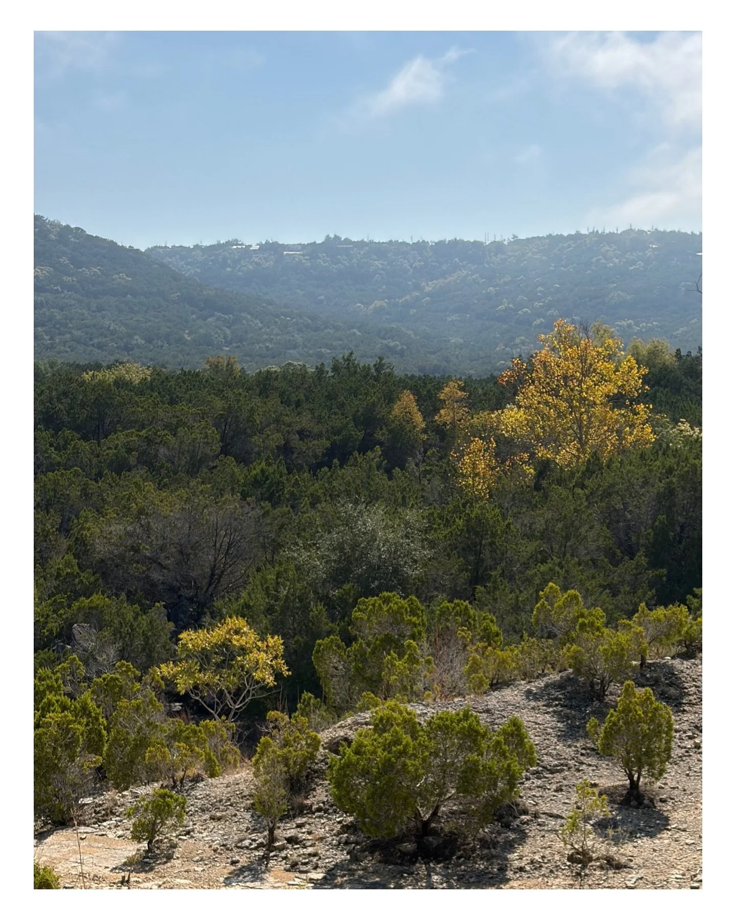COMMUNITY HIKE: 
Saturday, November 8th @ 9AM

📍 Balcones Canyonlands 
~3 miles / Cactus Rocks Trail
RSVP in bio

Post hike cold brew courtesy of @cuveecoffee + @rambleraustin! 

Join our guided, community hike with the Cactus Club and explore ~3 mi