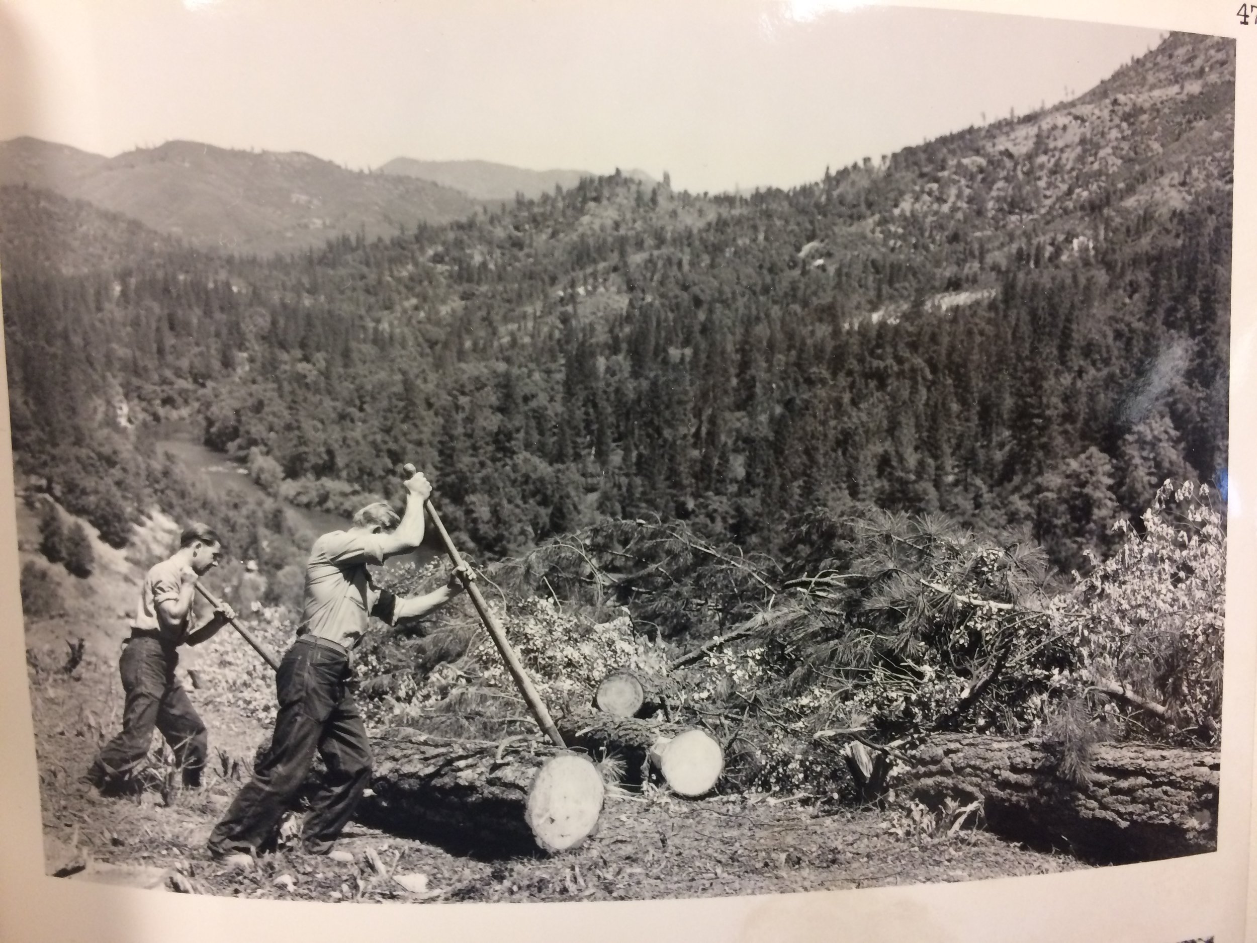  Workers from the Civilian Conservation Corps cut, piled and burned land in the McCloud River Canyon to prepare for the future Shasta Reservoir. Photo: U.S. National Archives and Records Administration 