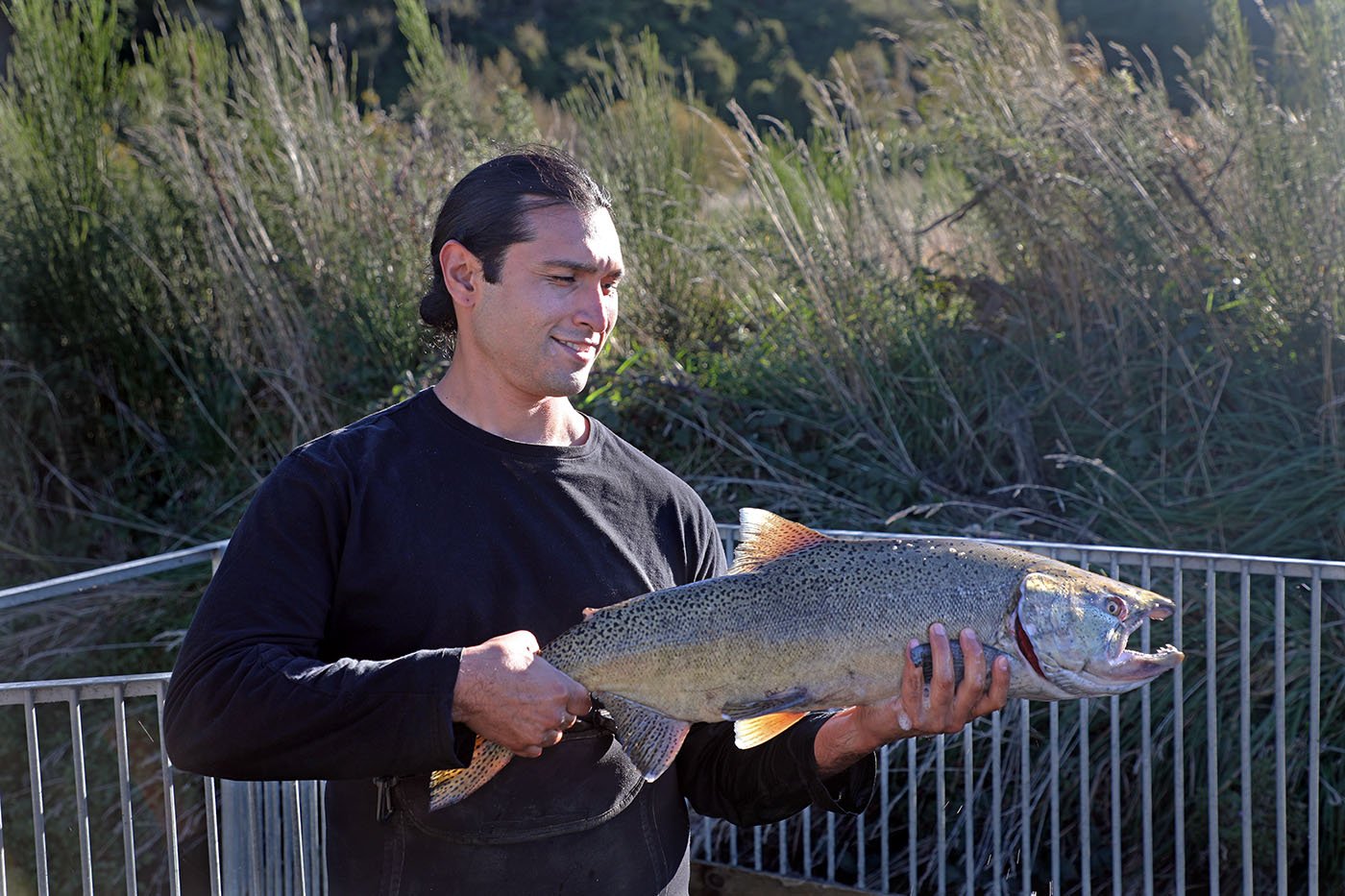  Michael Preston has visited New Zealand several times to support Winnemem Wintu efforts to return those fish to the McCloud River. Photo: Richard Cosgrove  