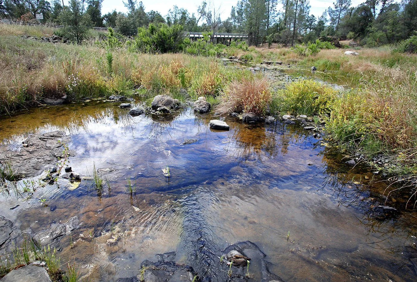 Redding, Ca — June 11, 2022. For the first time in decades, fall-run Chinook salmon swam up to Dry Creek, just down the road from where a core group of Winnemem Wintu live. Tom Levy/The Spiritual Edge
