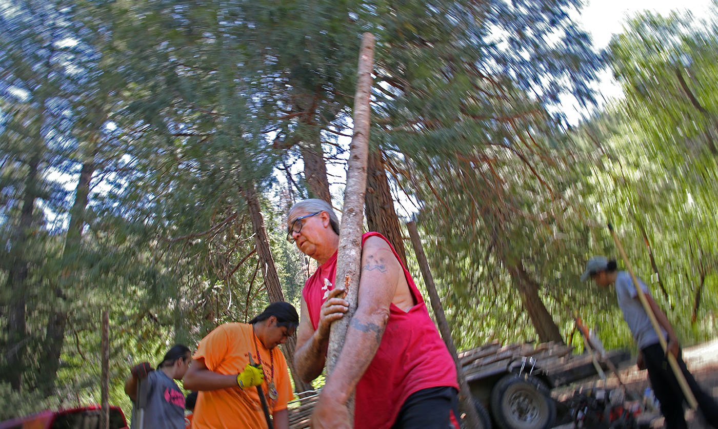  Shasta-Trinity National Forest — Dr. Dennie Schulteis carries a post that will be used to build the ceremonial arbor. July 11, 2022. Tom Levy/The Spiritual Edge                           