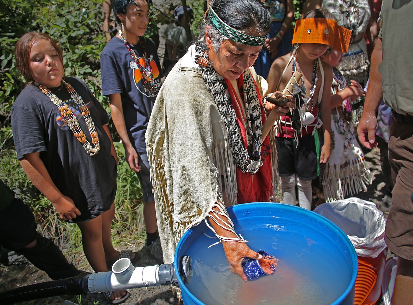  Shasta-Trinity National Forest — Chief Caleen Sisk empties a cup full of winter-run eggs into the incubation barrel. The eggs will hatch in about two weeks. July 11, 2022. Tom Levy/The Spiritual Edge 