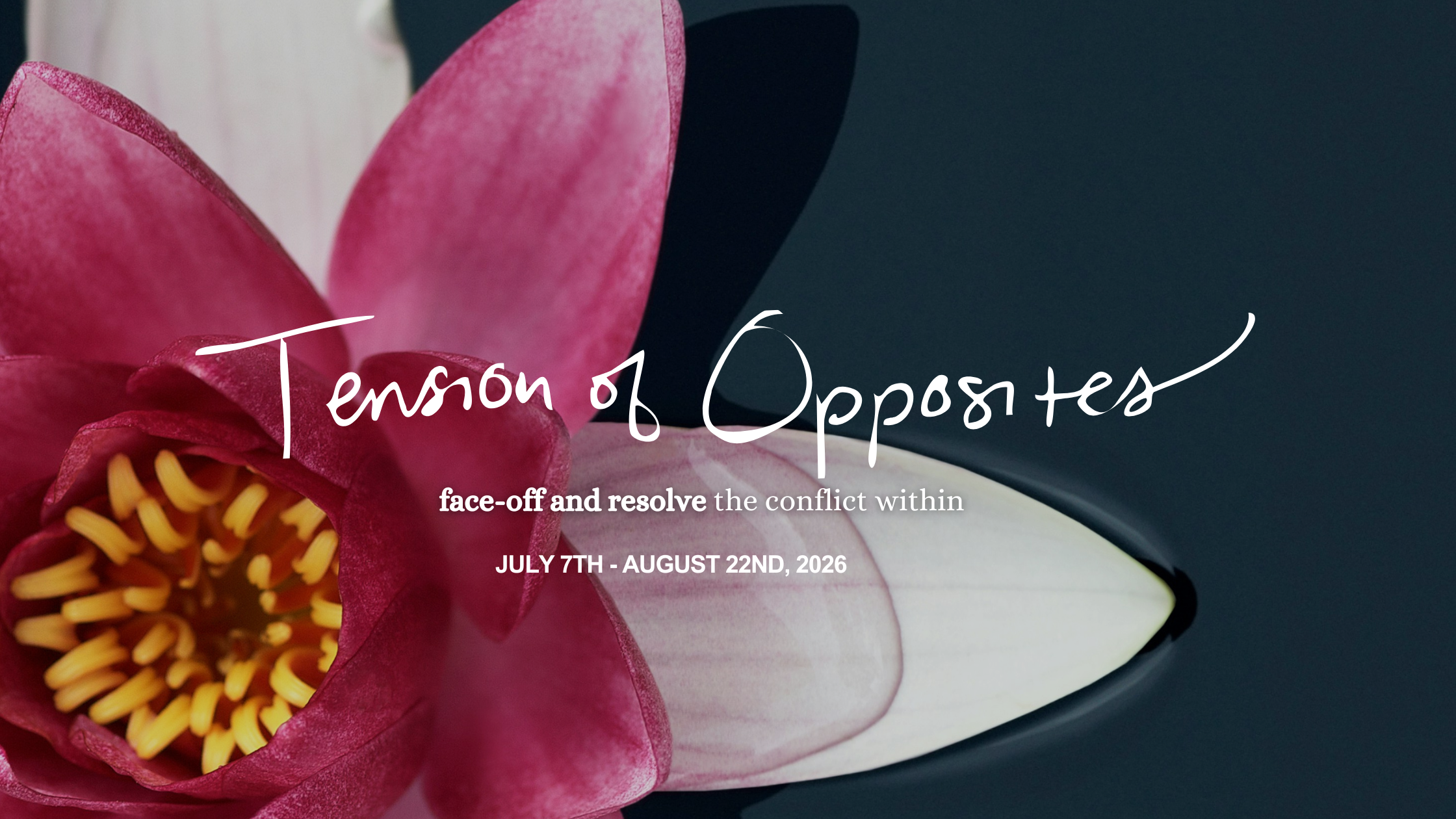 Tension Of Opposites (2).png