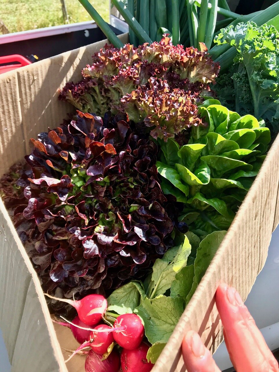 A gift box of assorted produce prepared.