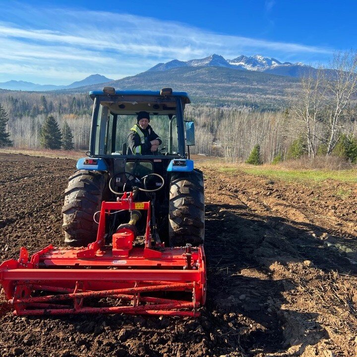 Joel power-harrowing the potato patch prior to our cover-crop application to end the season. Cover cropping not only helped the soil but yielded a lot of &quot;free&quot; food this year as some of the cover crops matured into yummy food!