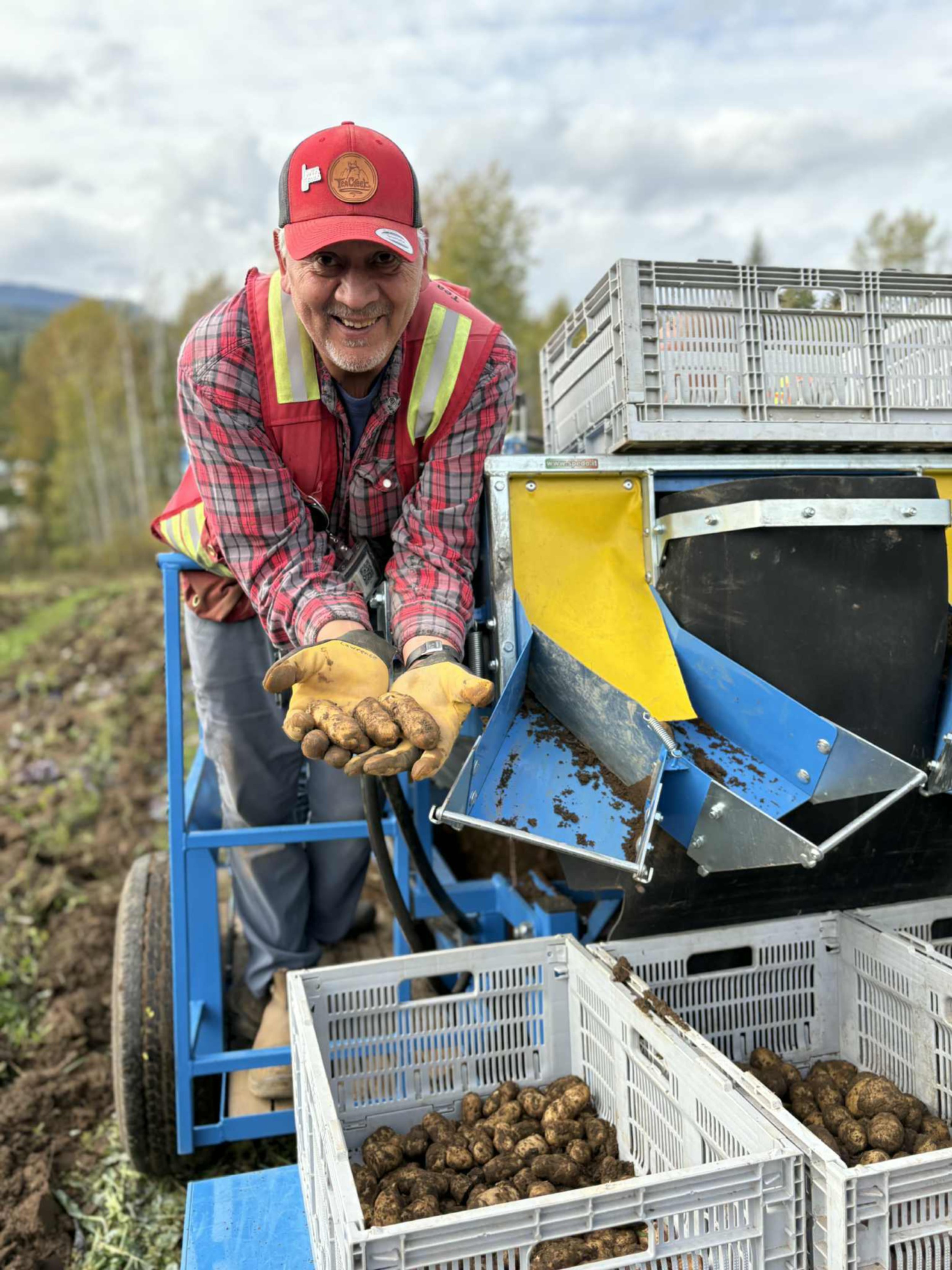 haida potato resize.jpg