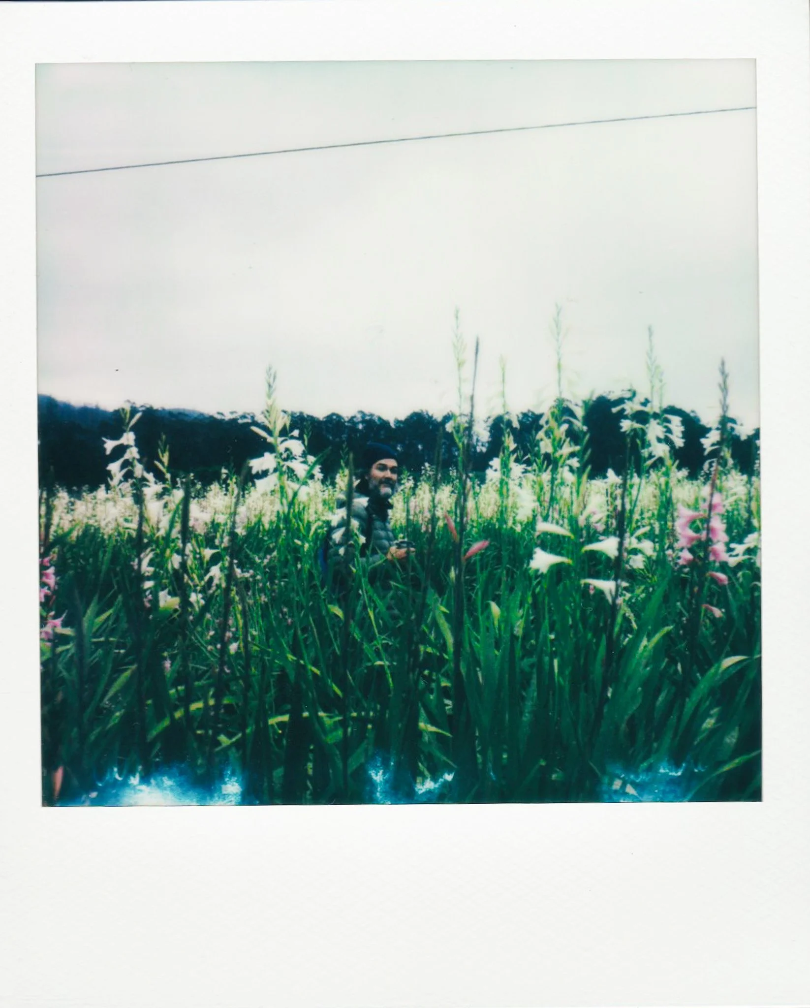 Scan 3.jpg