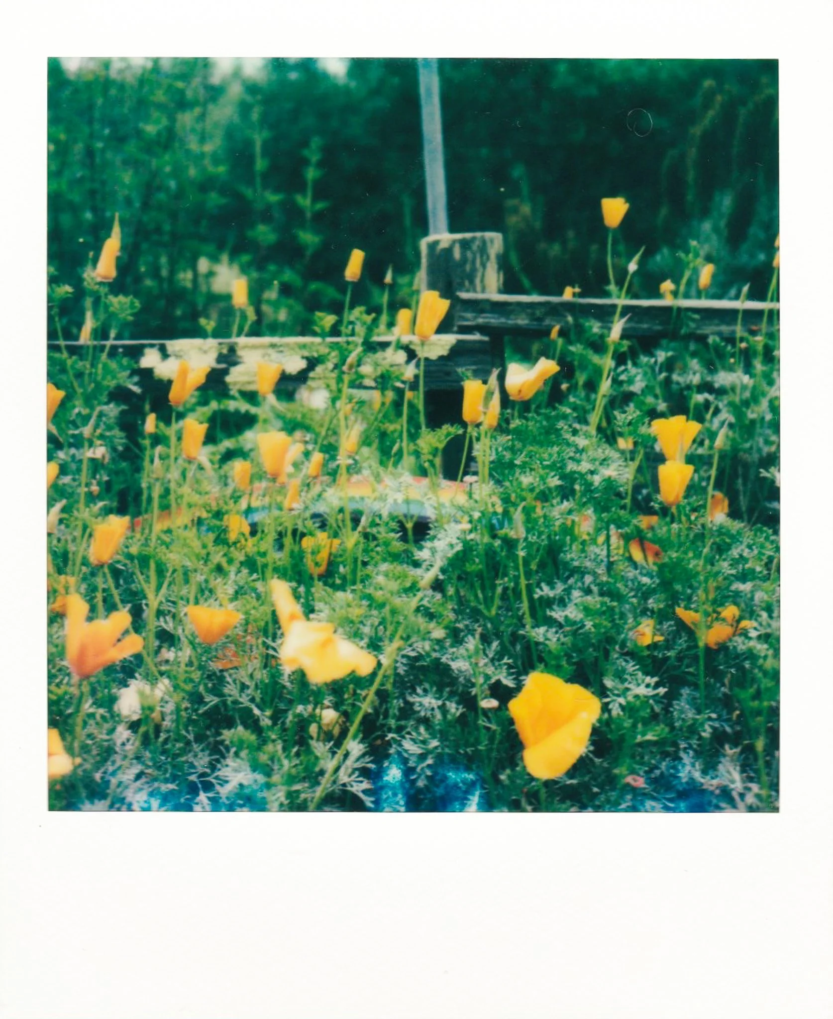 Scan 5.jpg
