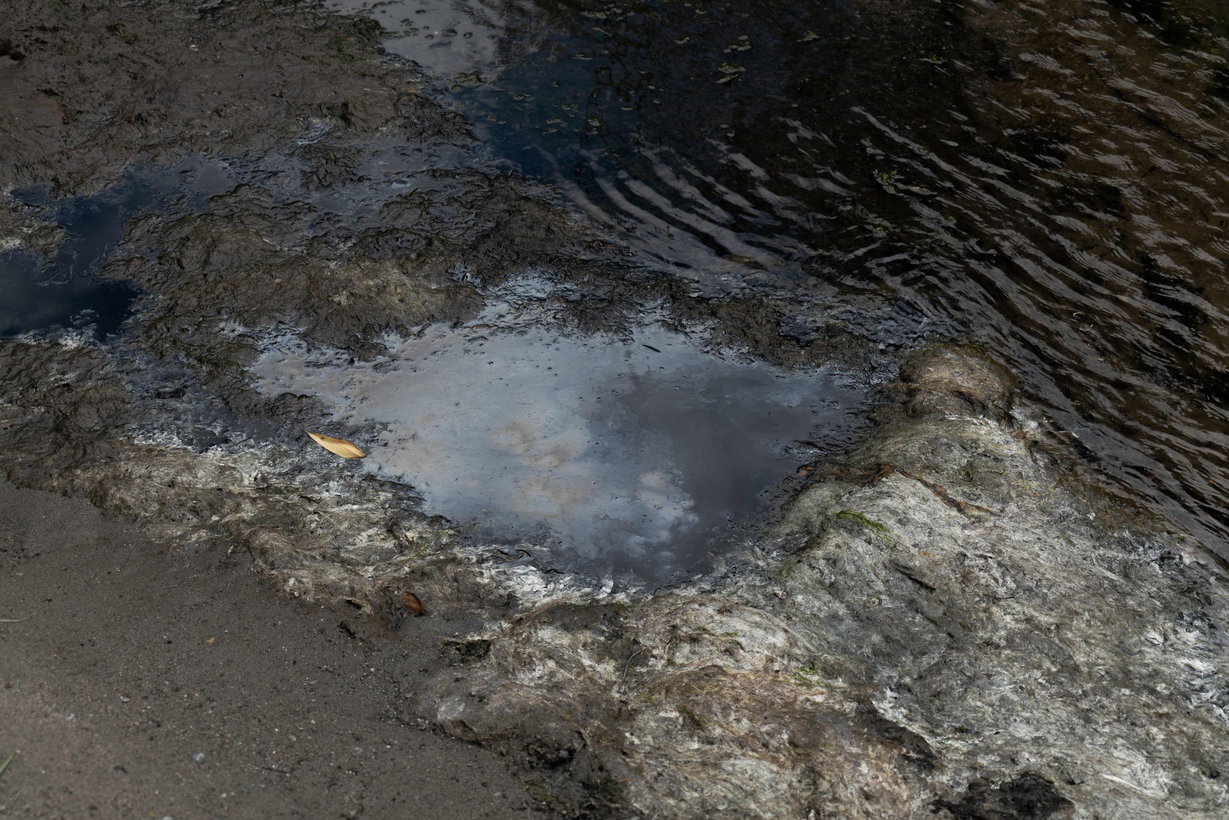 puddle.jpeg