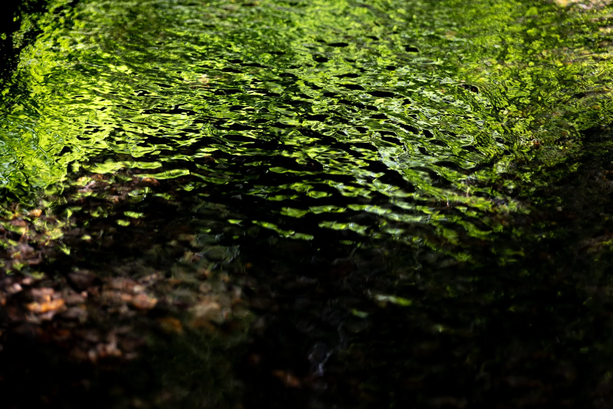 The Creek Runs All Night