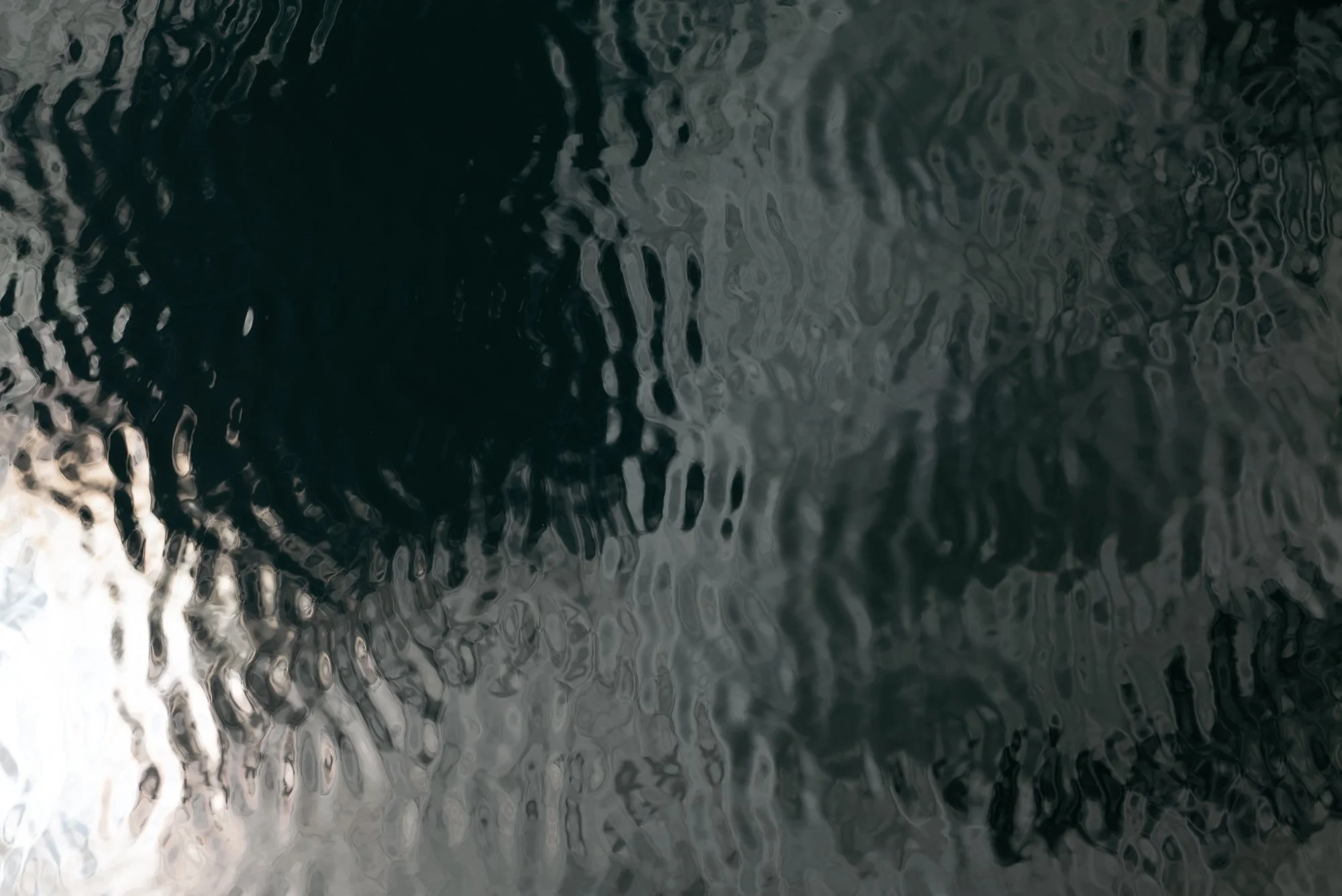 PAN57646.jpg
