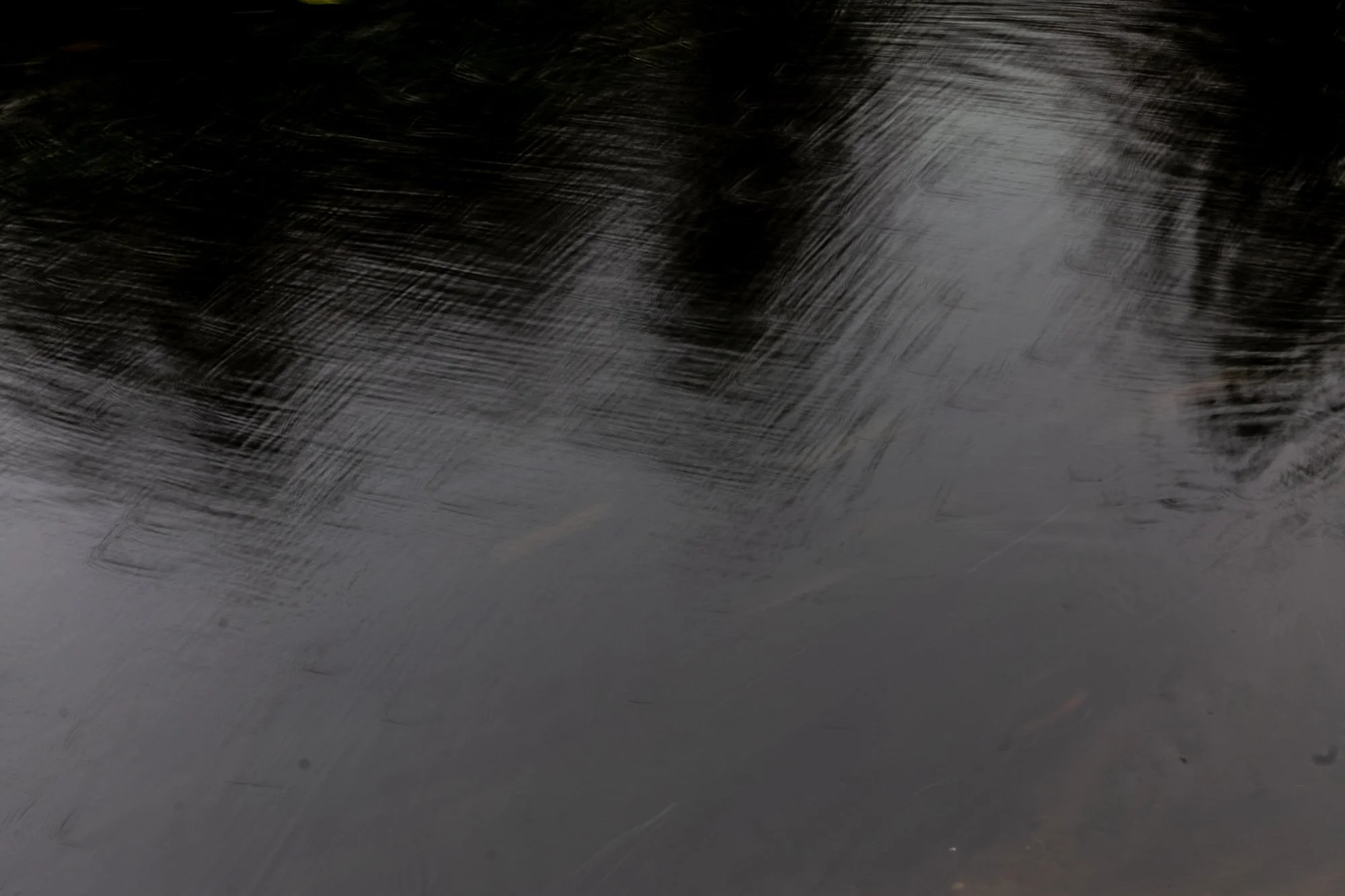 PAN53952.jpg