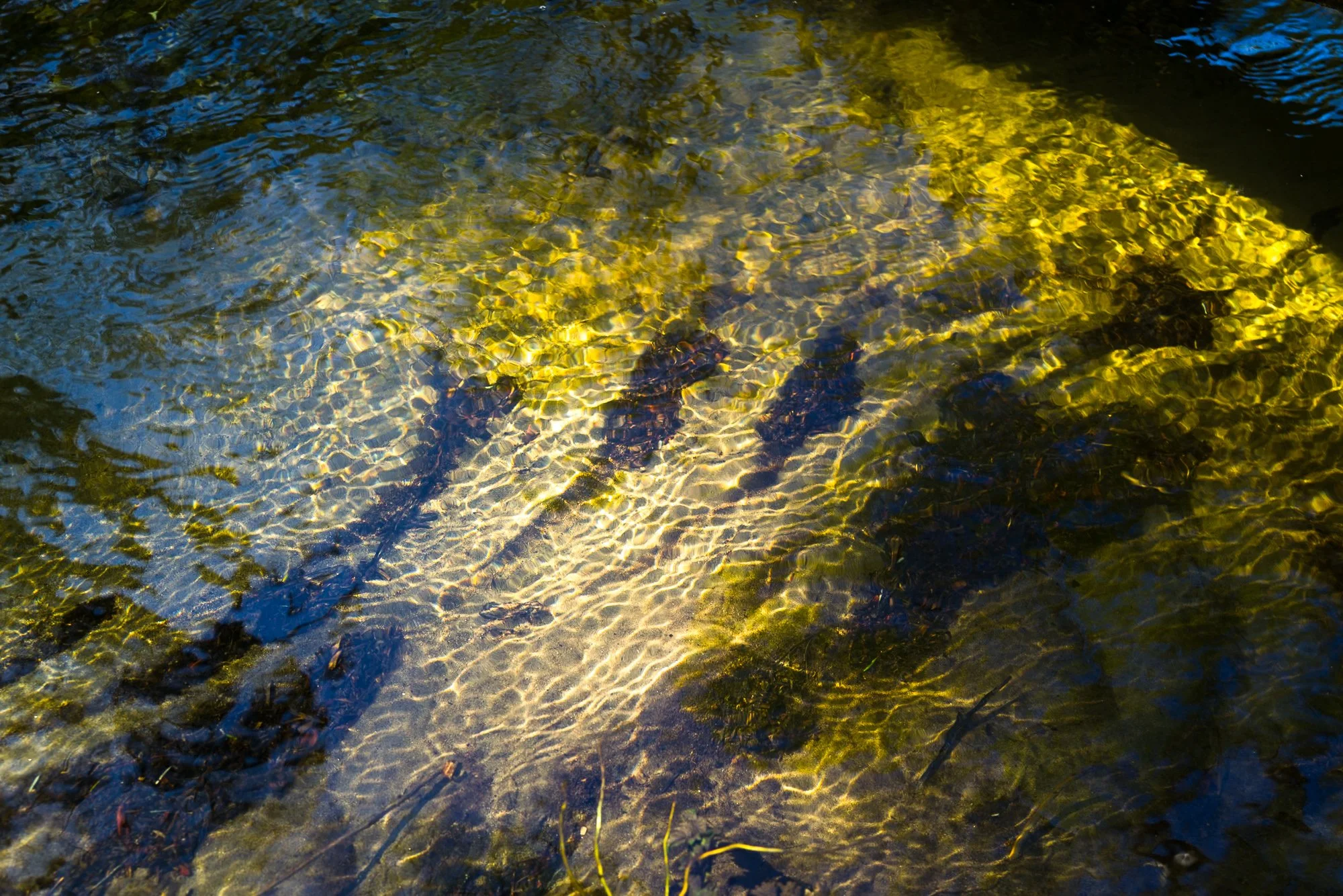 L1031043.jpg