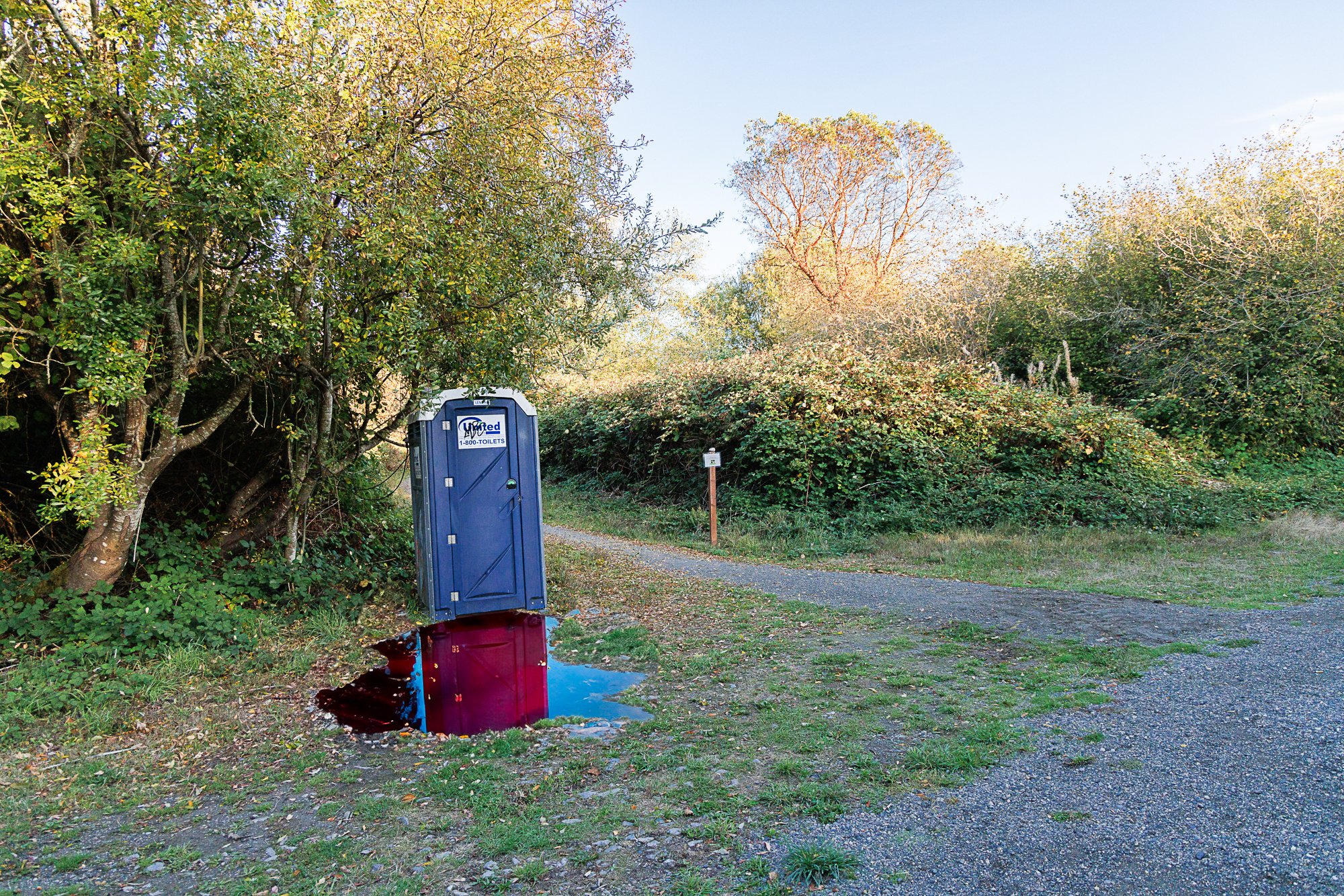 shelley-8.jpg