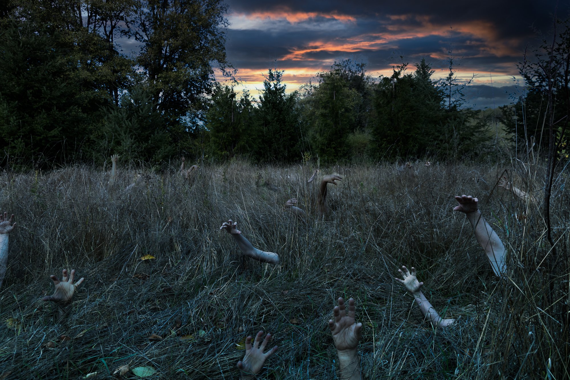 IMG_6920-Edit-Edit.jpg