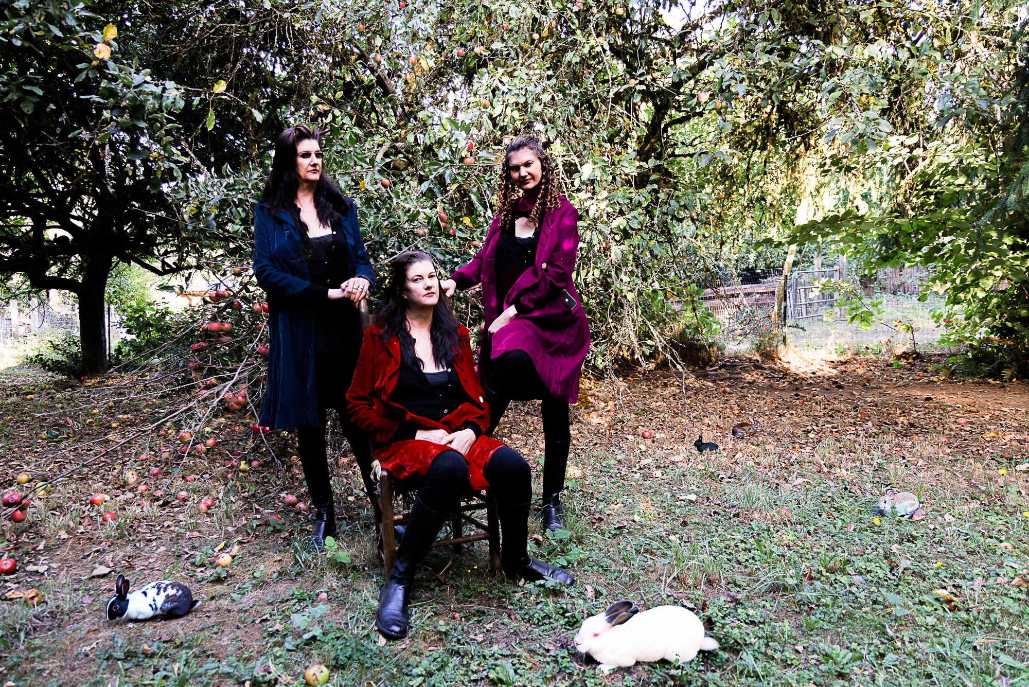 shelley-4.jpg