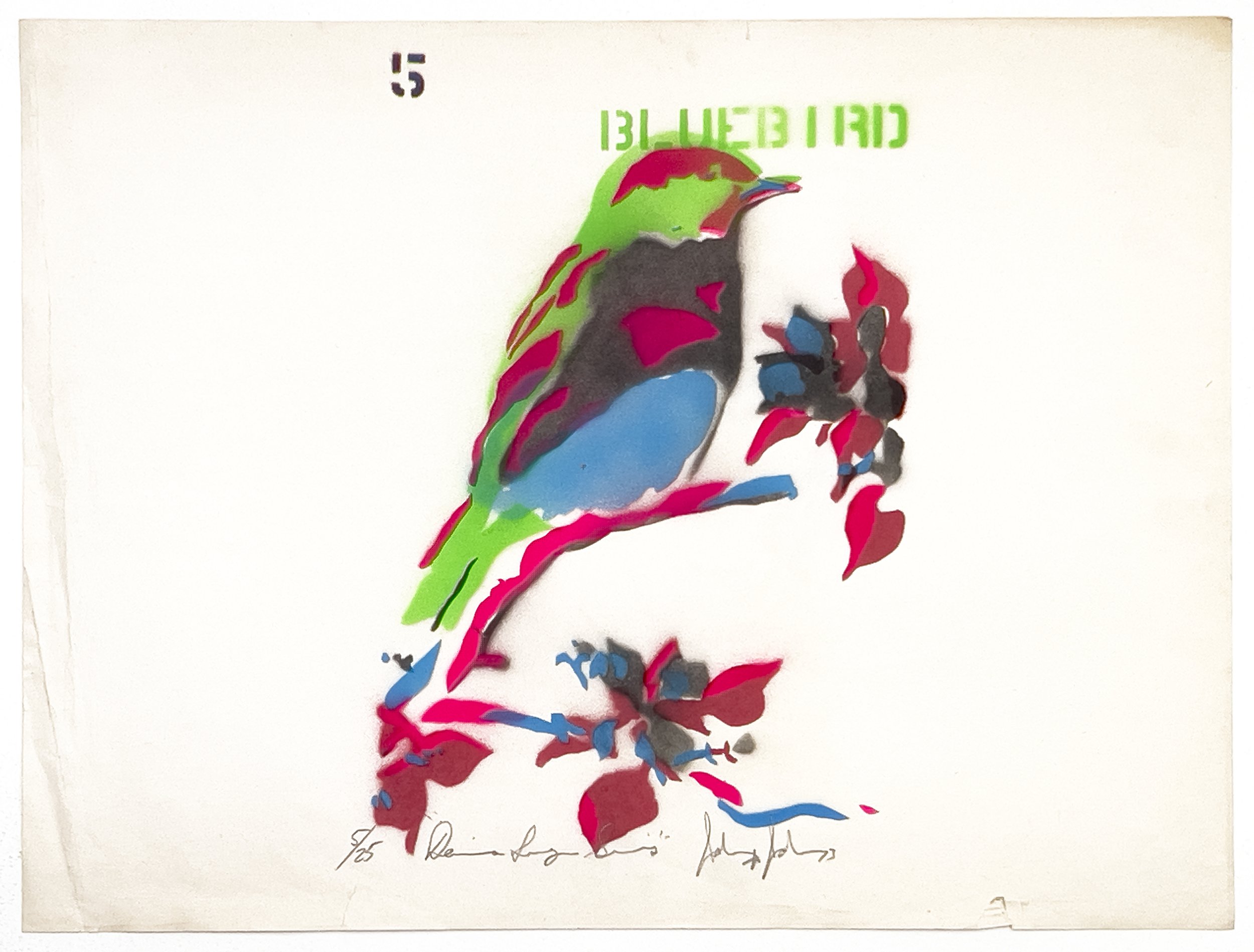 Halpern_Bluebird_2 final.jpg