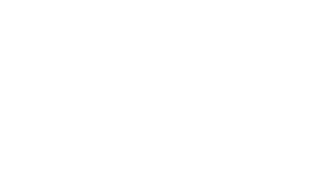 INSTITUTE FOR CULTURAL ACTIVISM INTERNATIONAL/ F.I.U.