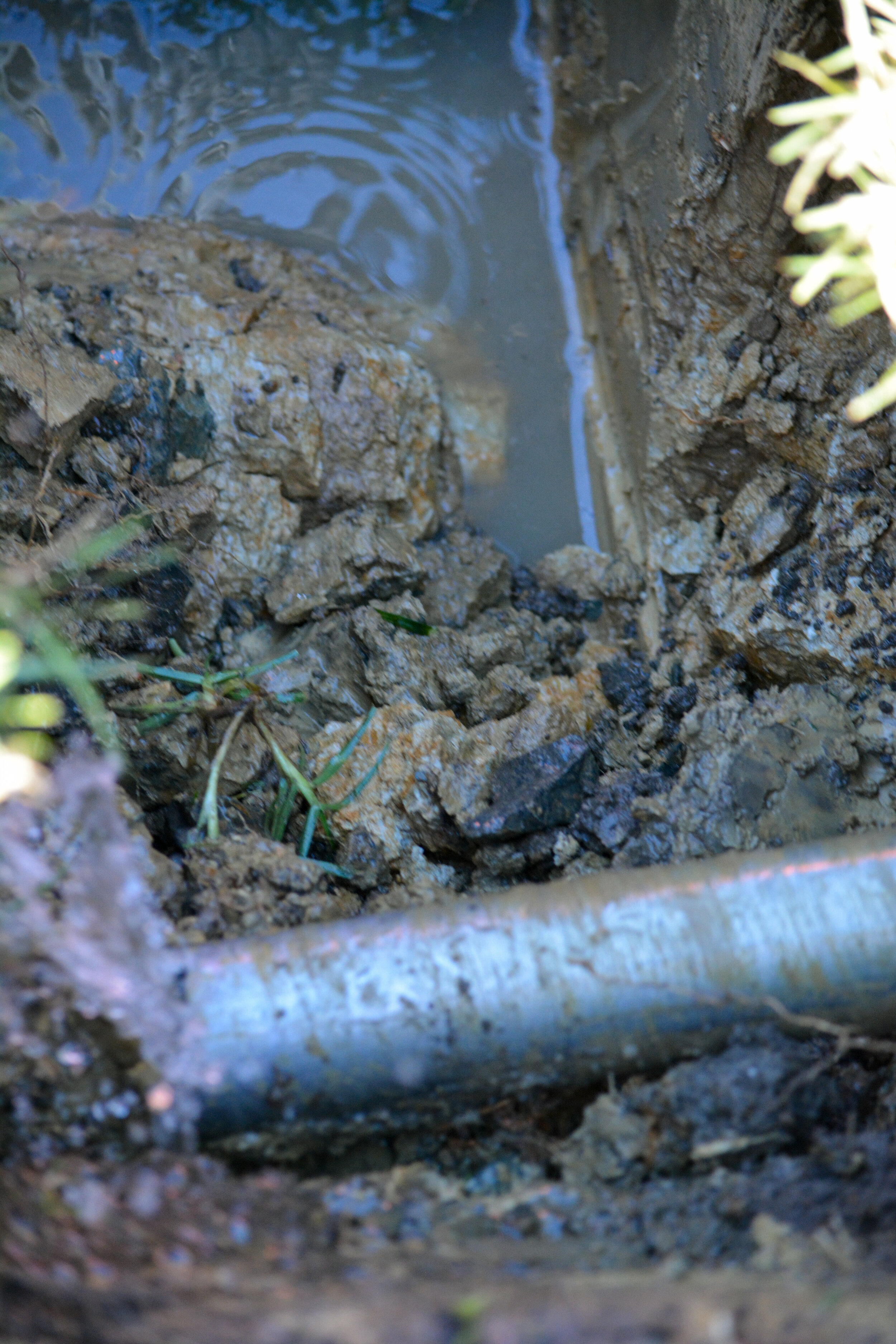 Big lense hedsupDSC_0281.jpg