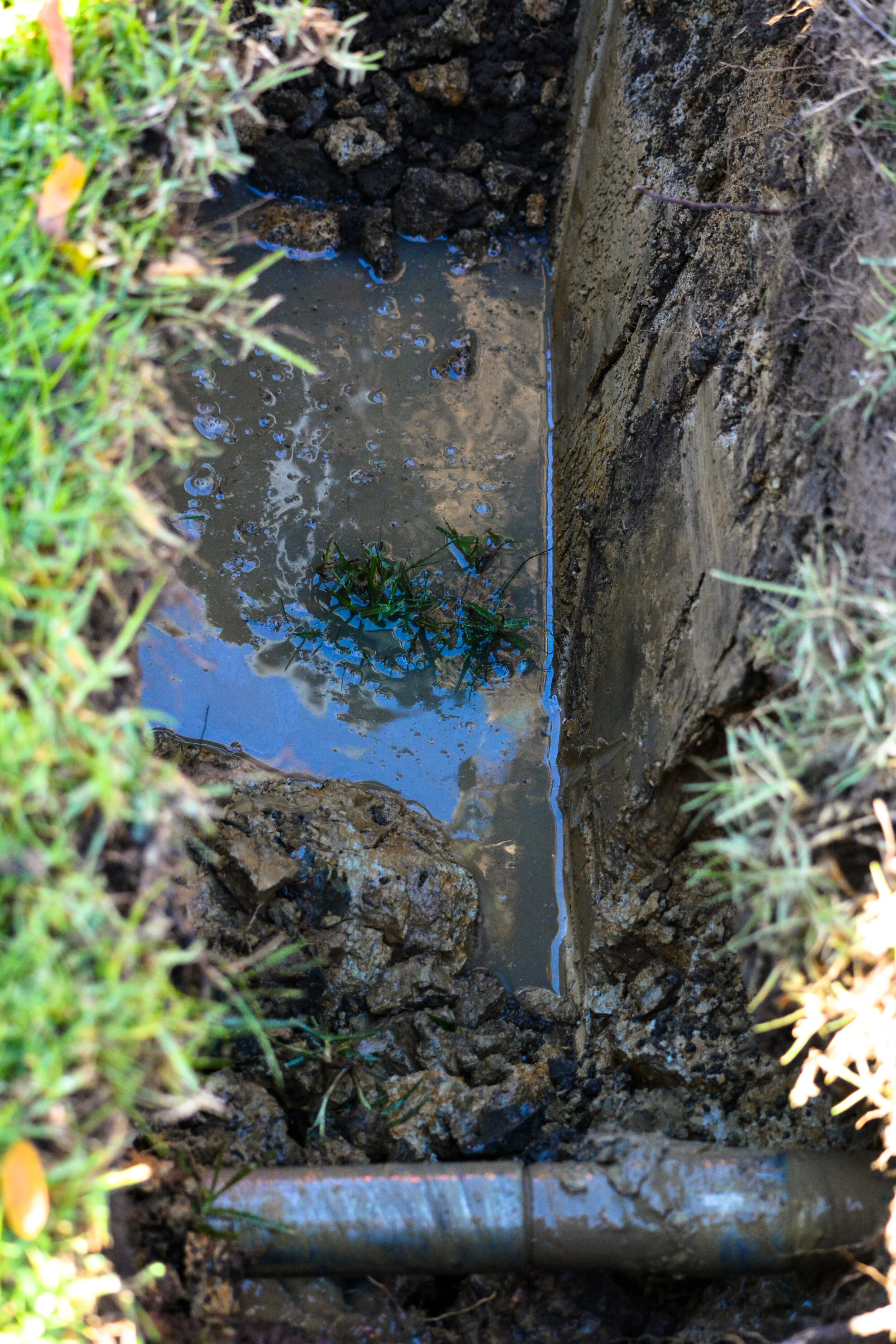 Big lense hedsupDSC_0291.jpg