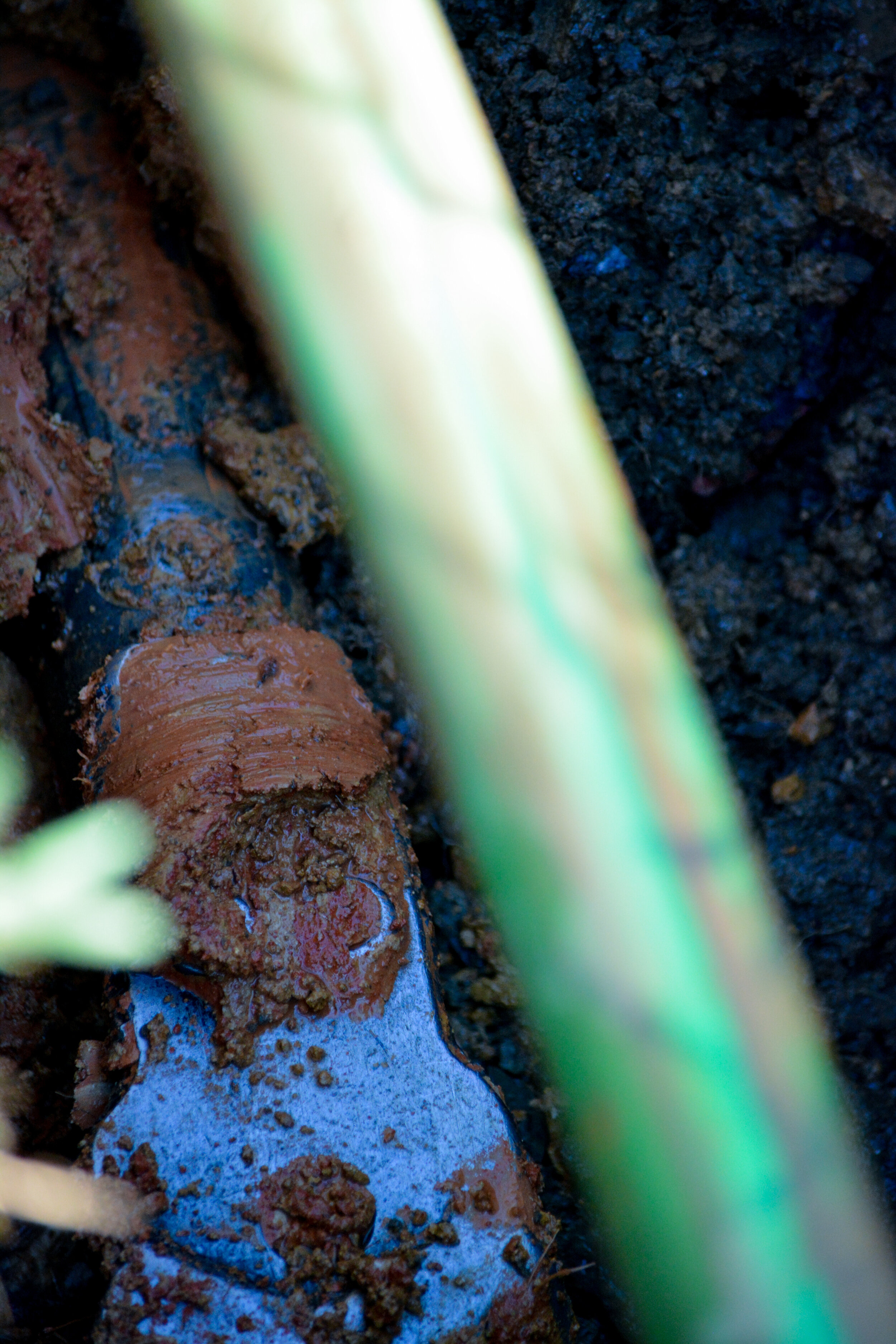 Big lense hedsupDSC_0382.jpg