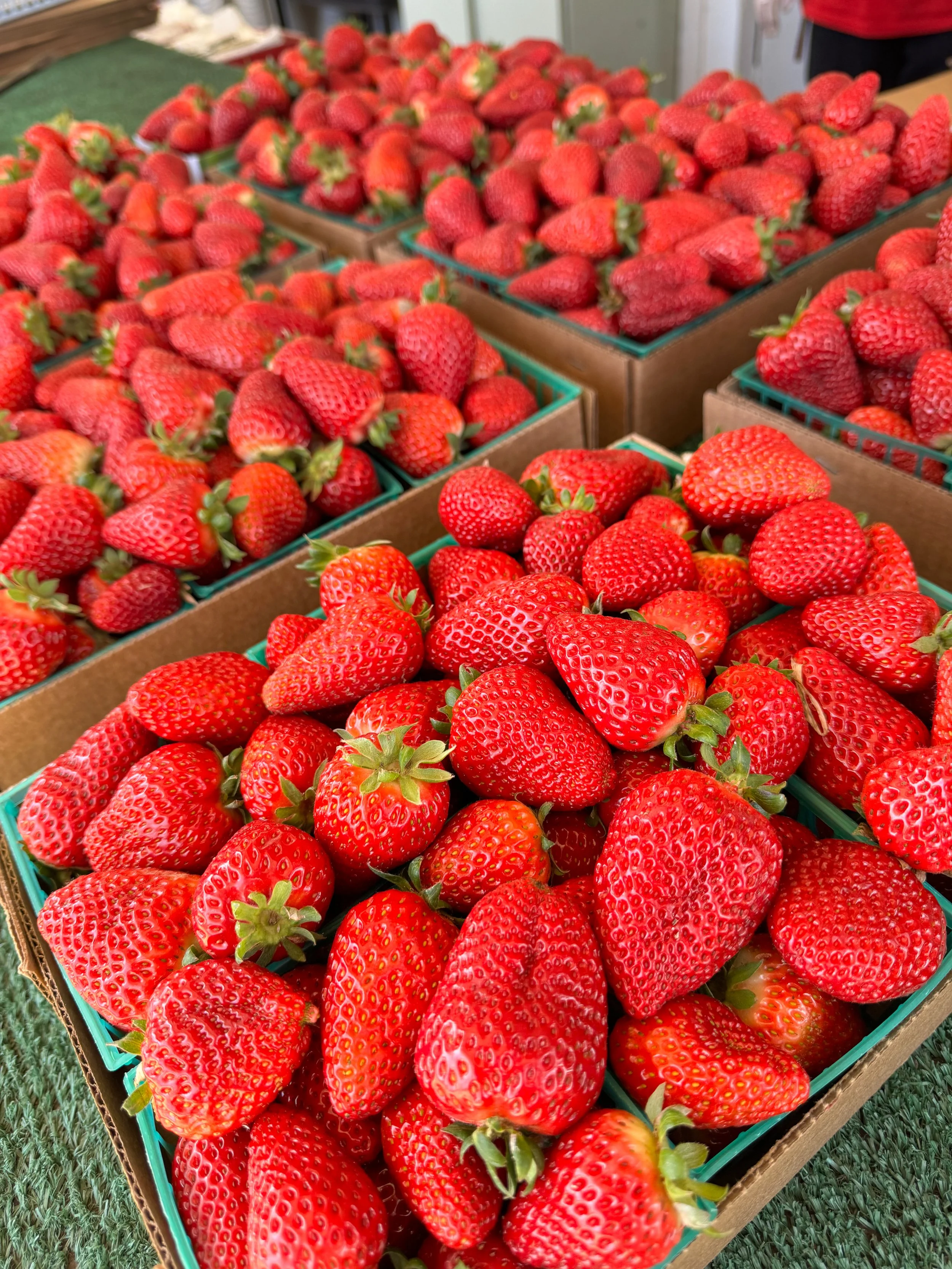 Half Flat (Monday, March 30)