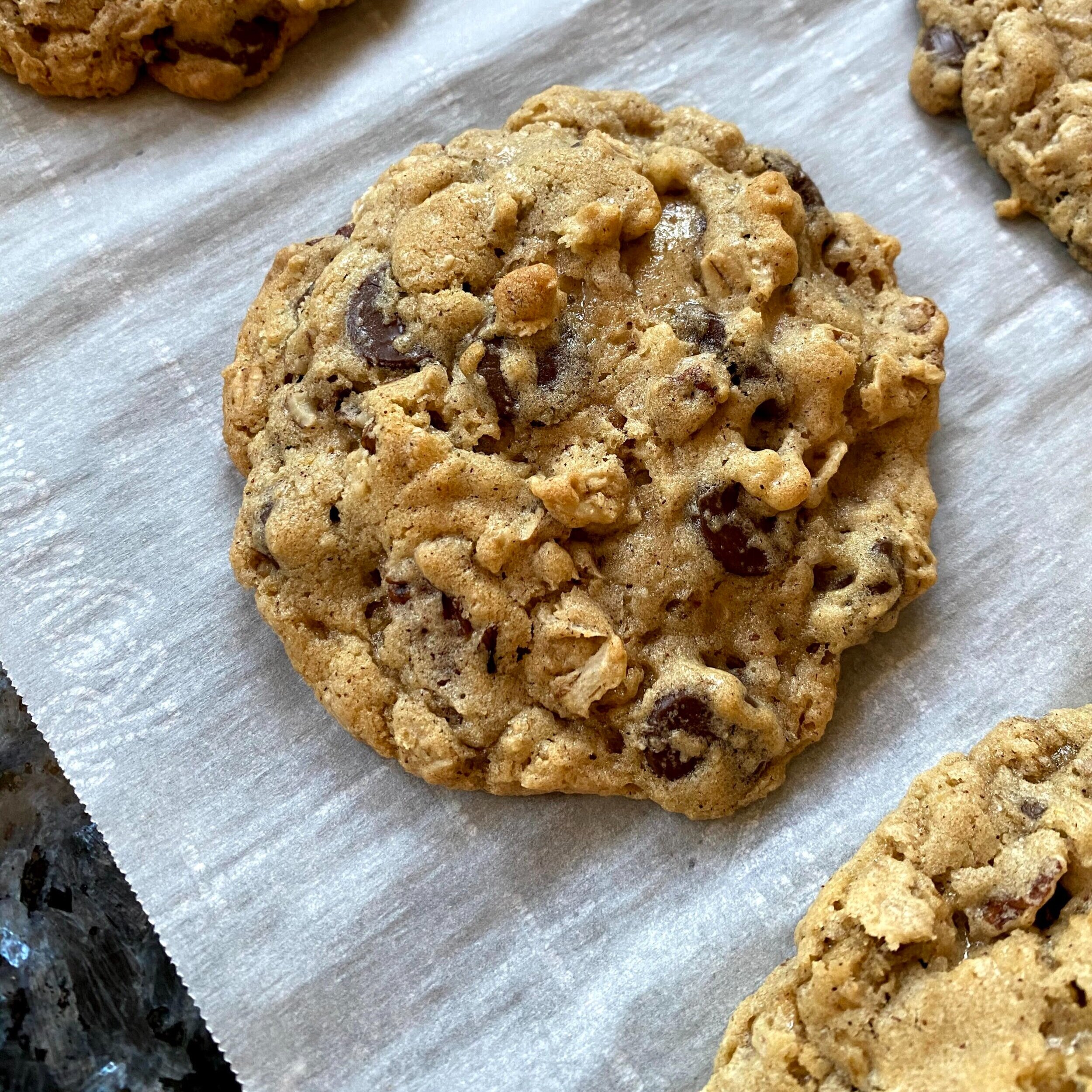 The Oatmeal Raisin Cookie - by Jason Hudson - Hudson News