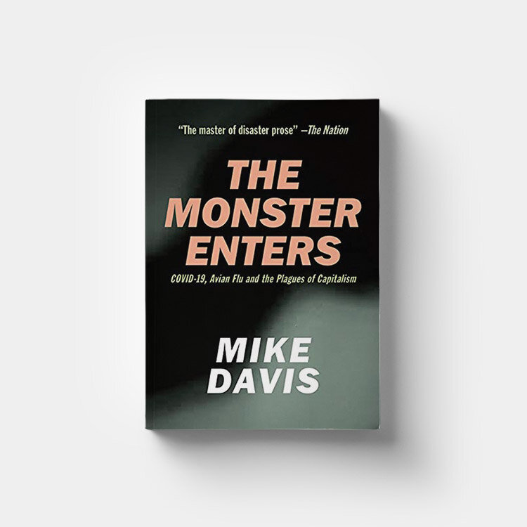 The Monster Enters by Mike Davis
