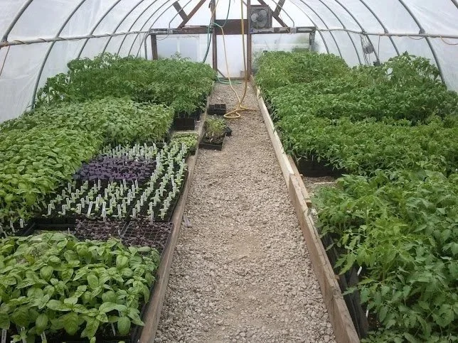 Greenhouse Full.jpg