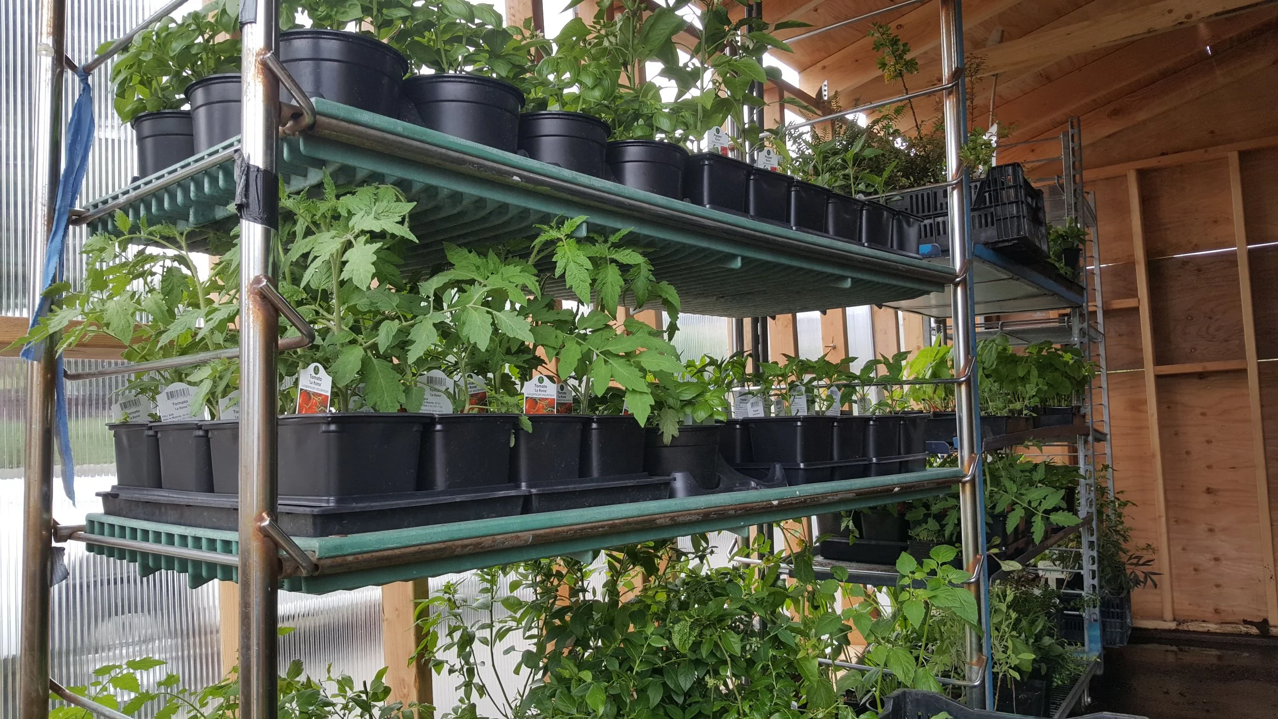 Photos from the Mobile Greenhouse