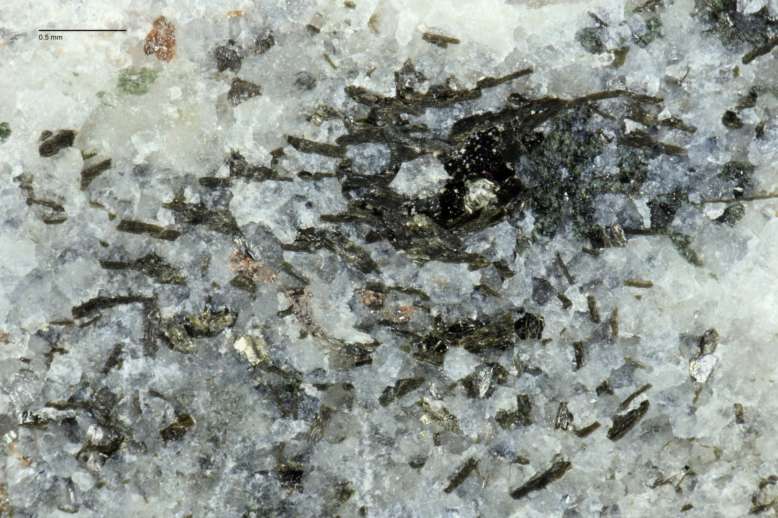 [comp-scale]ls-bk-scu-2024_Marions_Samples_5x_013 3.jpg