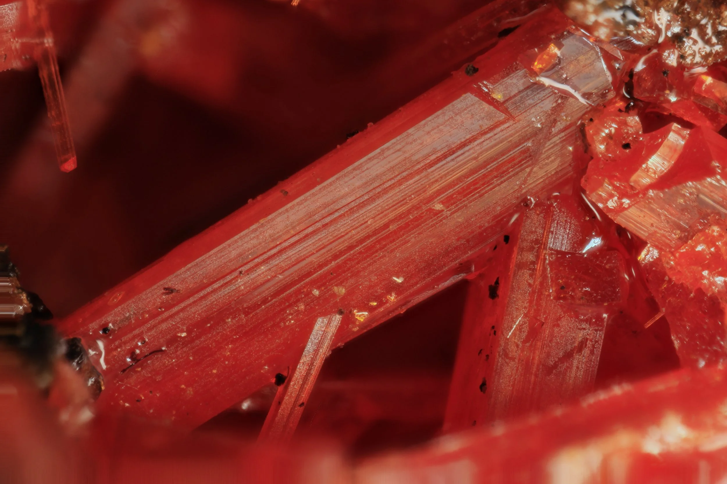 [comp] Red mineral 5x 1 1.jpg