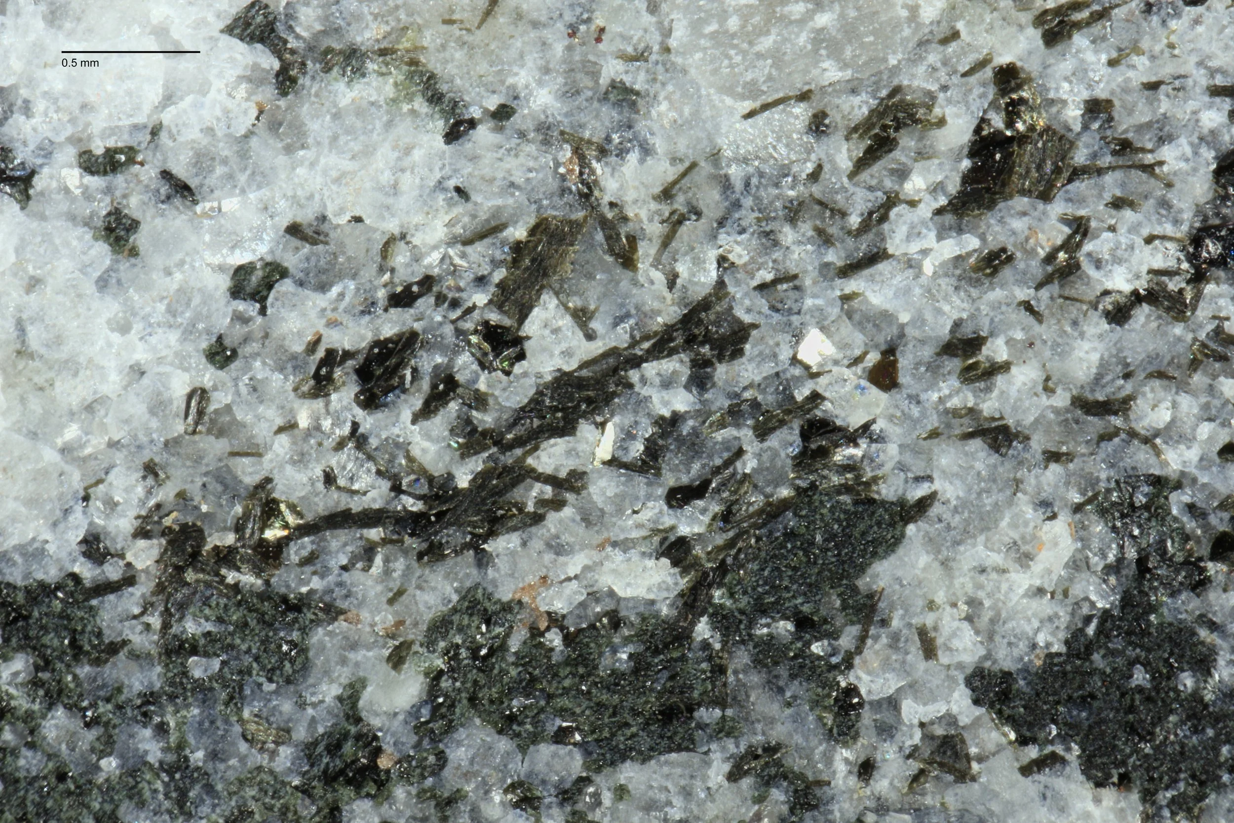 [comp-scale]ls-bk-scu-2024_Marions_Samples_5x_013 5.jpg