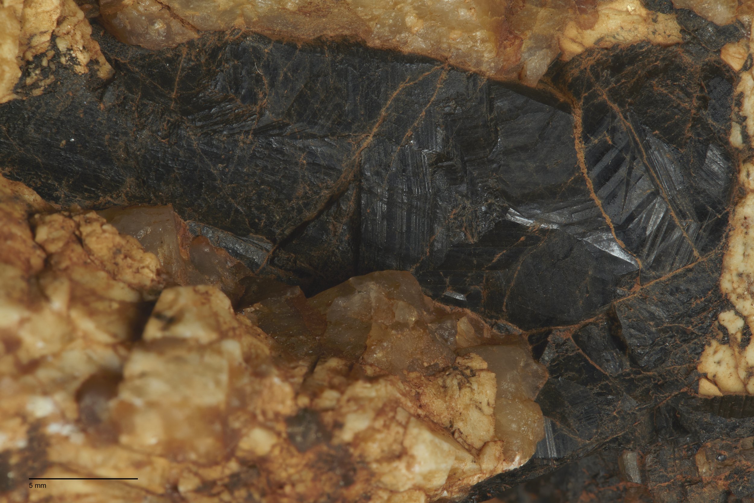 [comp-scale-crop]ls-bk-scu-2024_Marions_Samples_100mm_1-1-5_Tourmaline_002 1.jpg