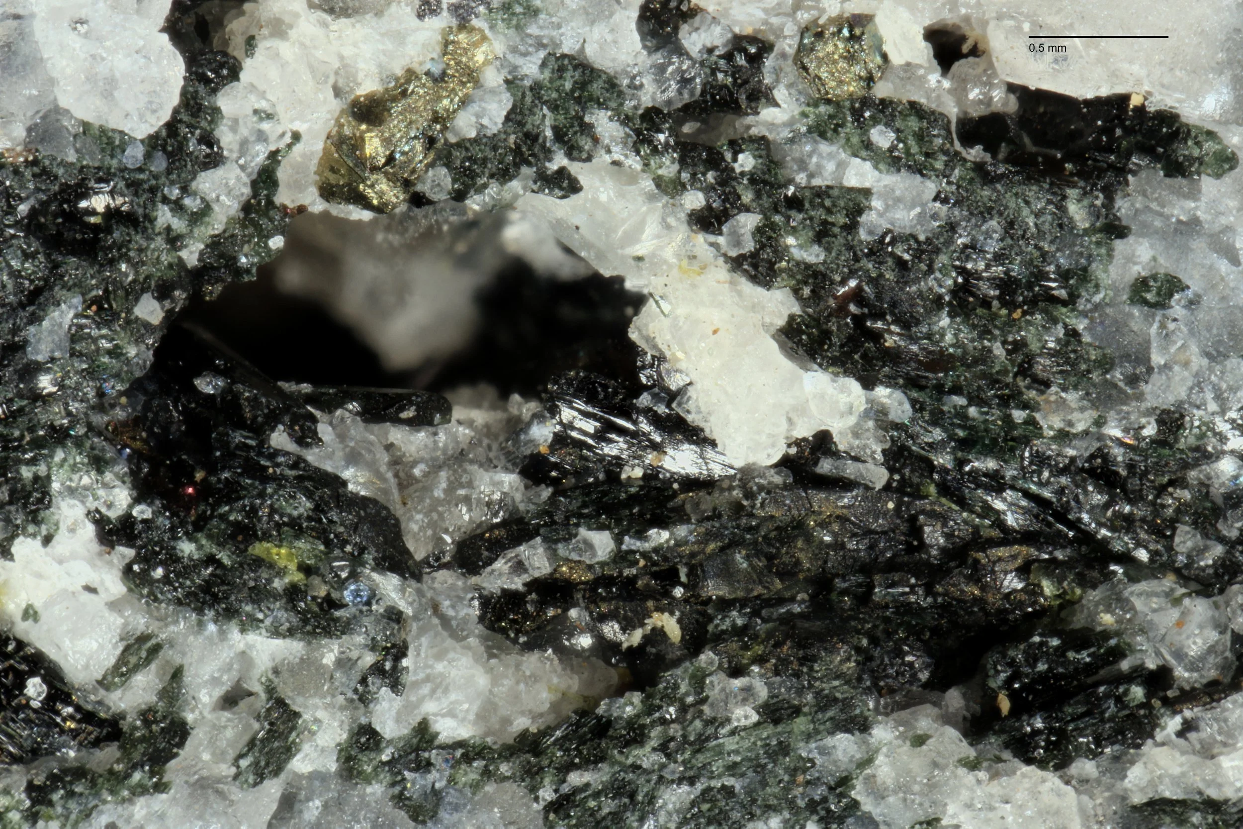 [comp-scale]ls-bk-scu-2024_Marions_Samples_5x_012 8.jpg