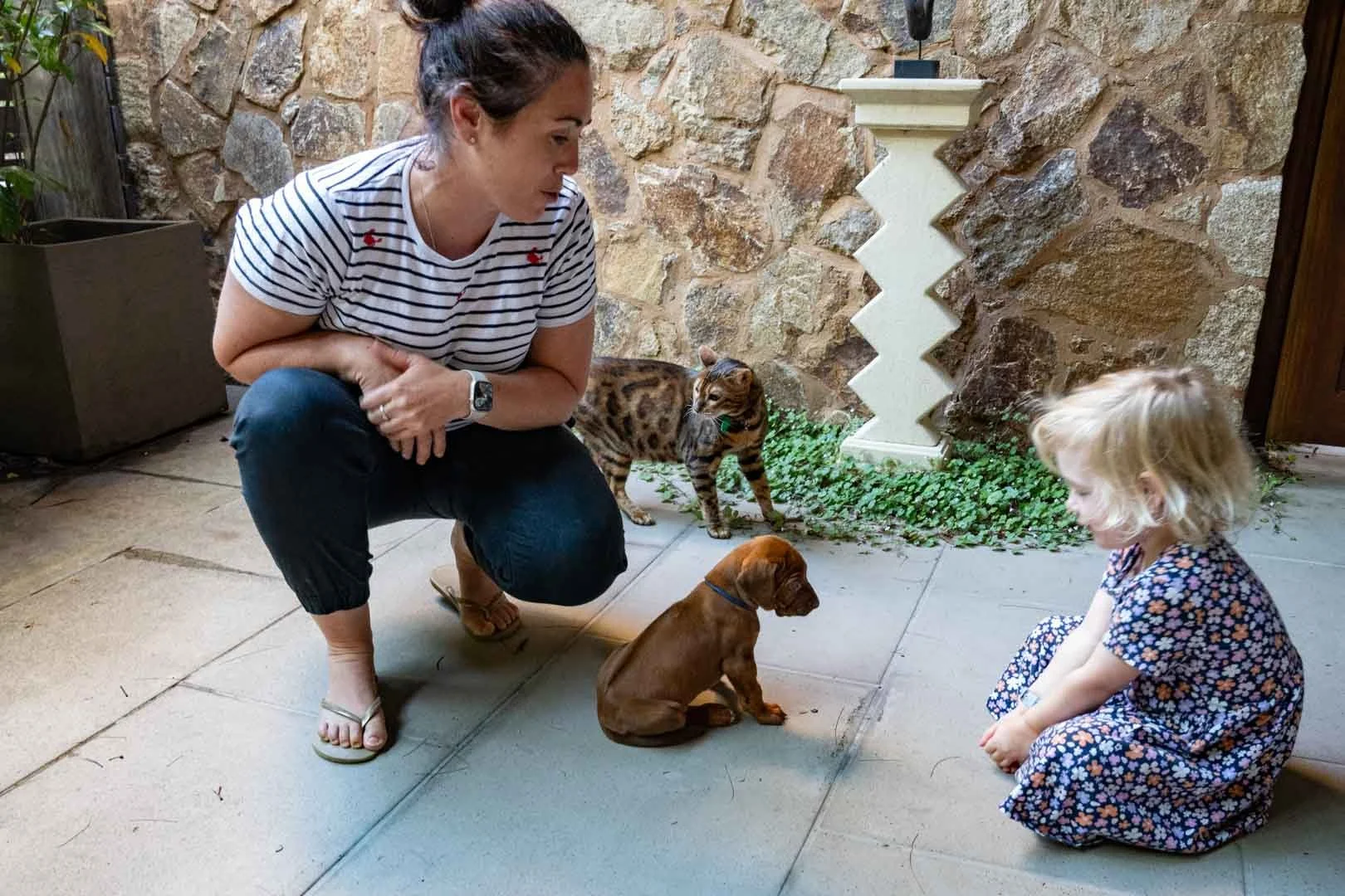 Dark blue boy with friends
