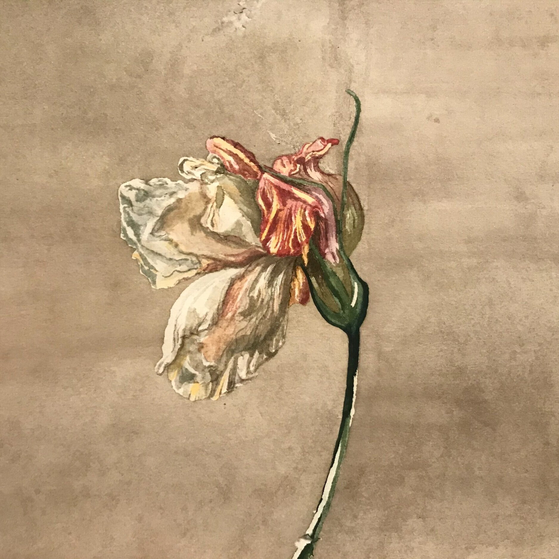 "Irving Penn," 2020