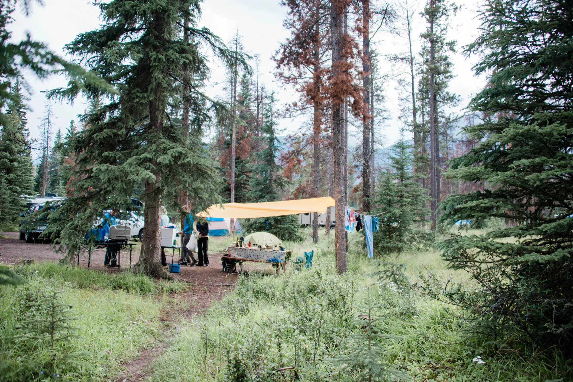 200723_Jasper_6618.jpg