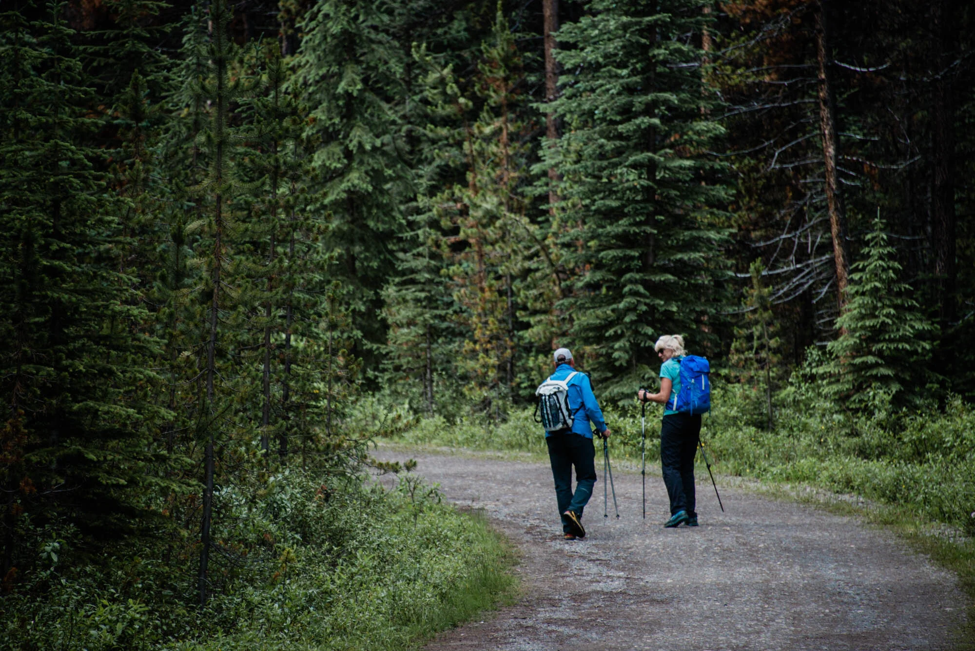 200724_Jasper_6735.jpg