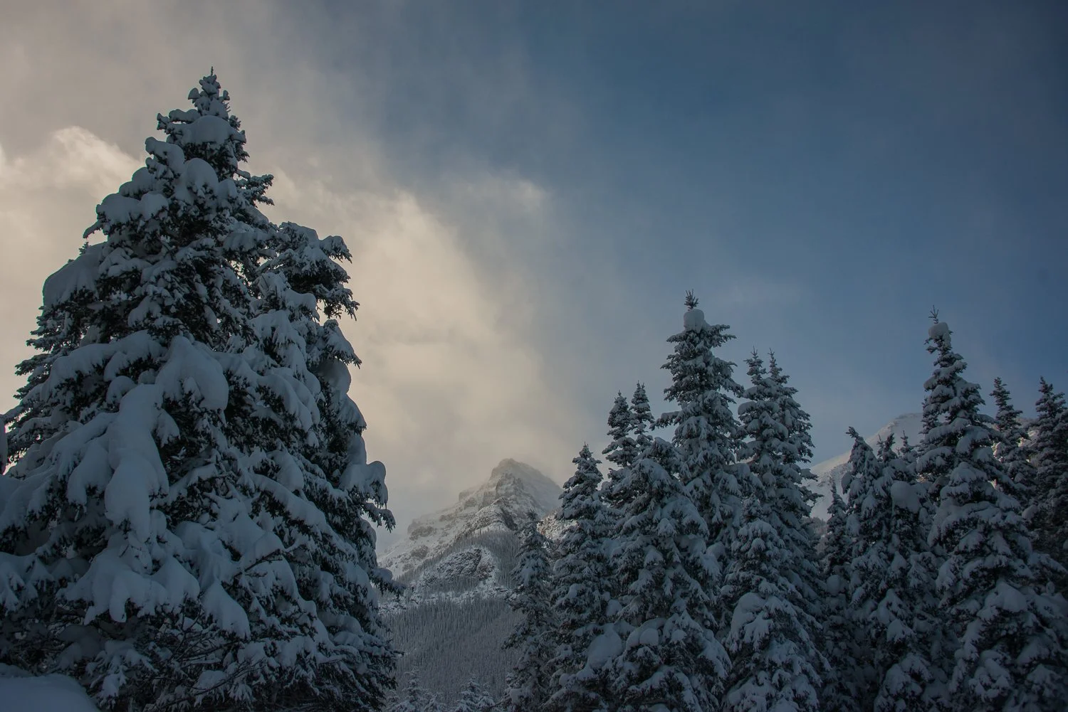 211227_Canmore_7639.jpg