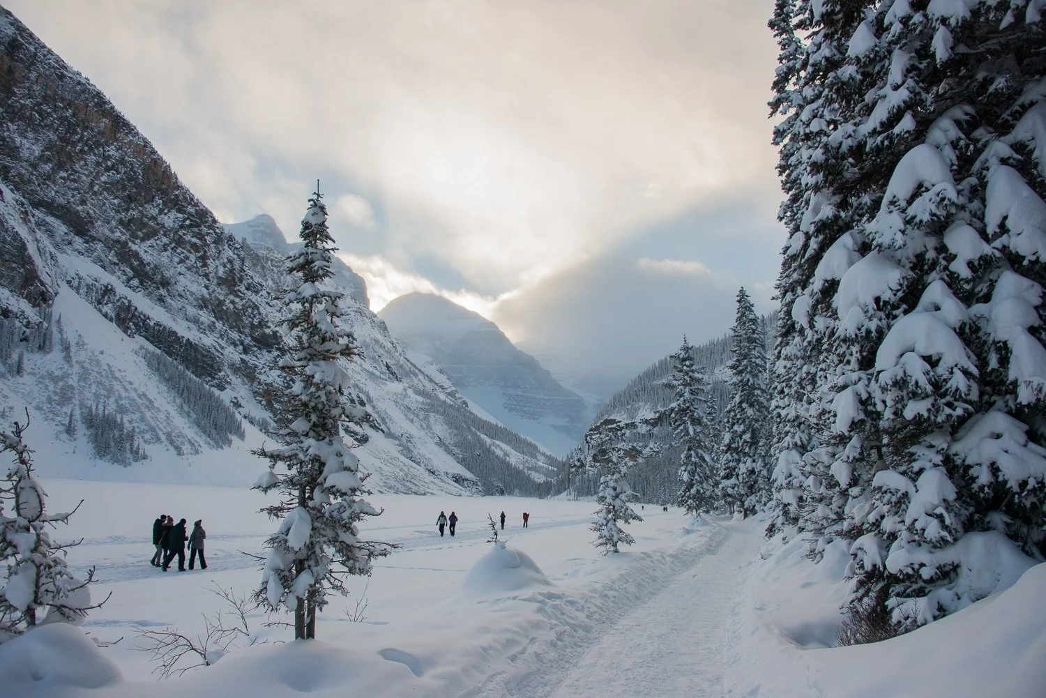211227_Canmore_7705.jpg