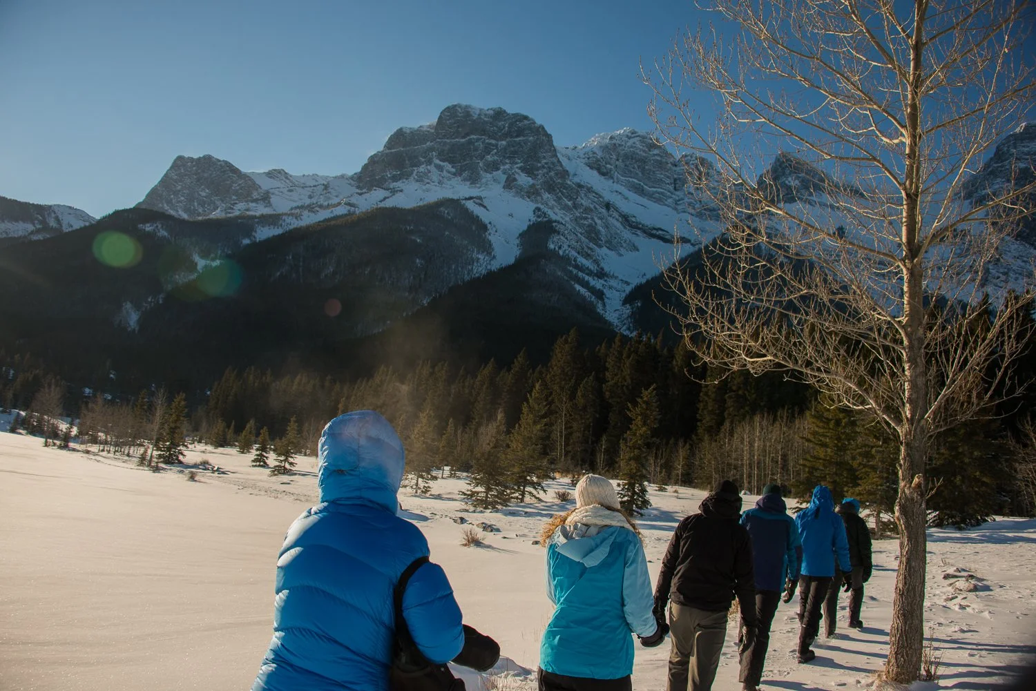 211229_Canmore_7801.jpg