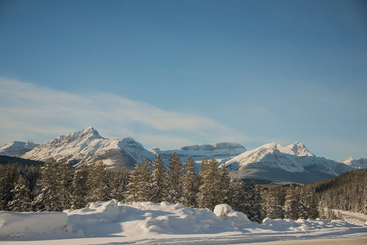 211228_Canmore_7740.jpg