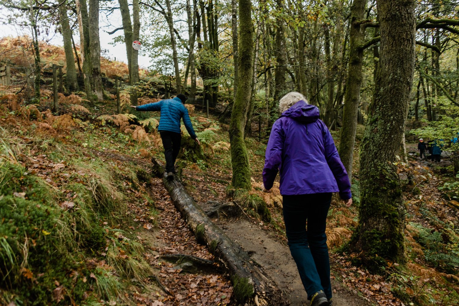 211024_Lake District_5979.jpg